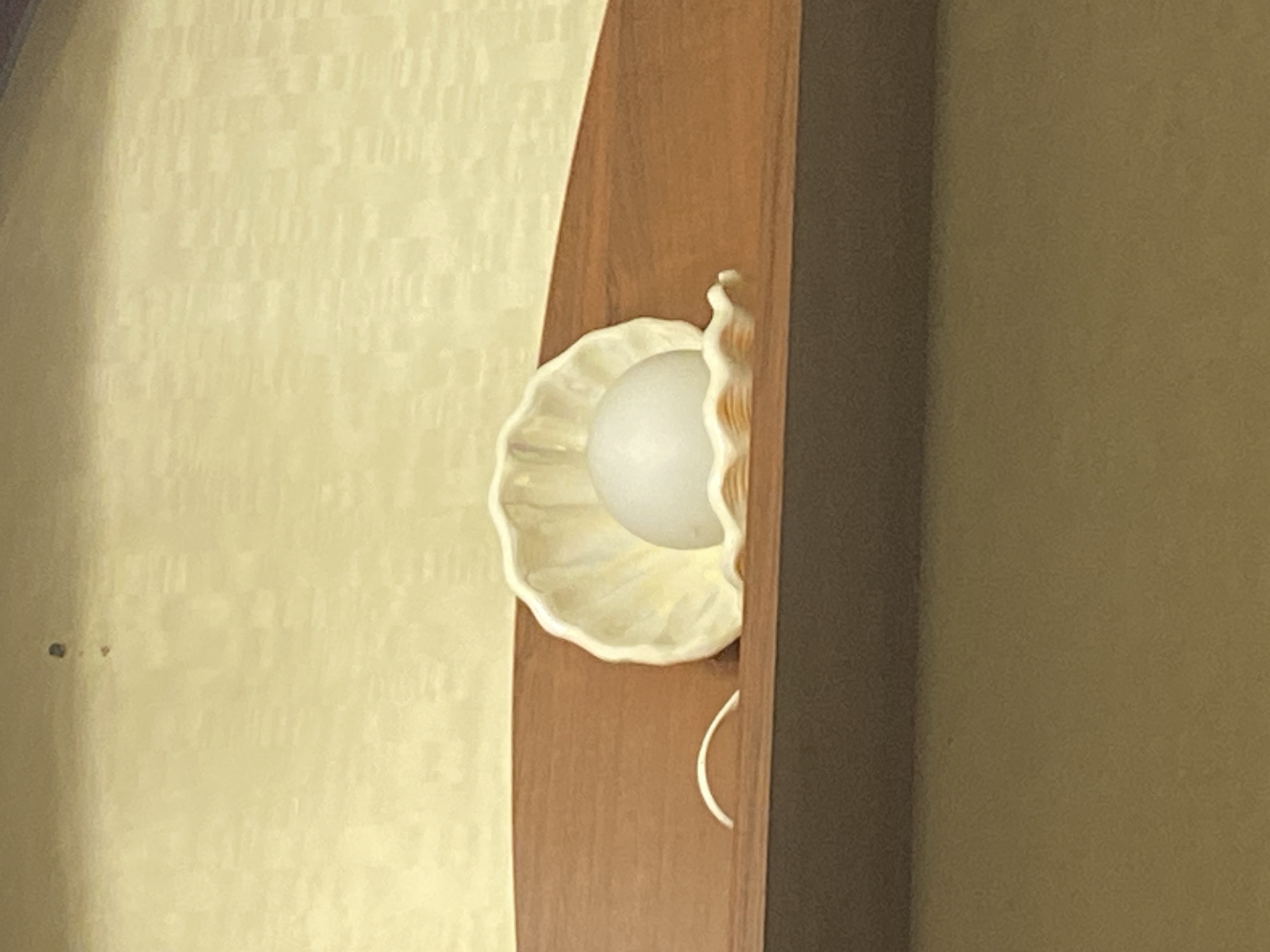 The image shows a decorative shell containing a white, spherical object. The shell is light-colored with scalloped edges and rests on a wooden shelf. A thin white cord is draped over the edge of the shelf. The background is a textured, pale yellow wall. There are no people or animals visible in the image. The image does not contain information about the city of Brest, Belarus.