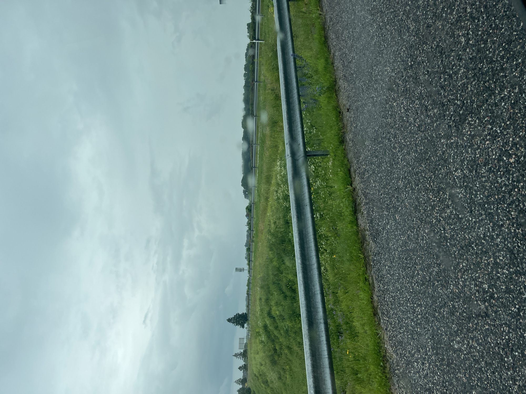 The image shows a roadside view with a guardrail in the foreground, separating a grassy embankment from an asphalt road. The embankment is covered in green grass and wildflowers, with a few trees visible in the distance. The sky is overcast and appears to be a dull grey, suggesting a cloudy or rainy day. There are no people or vehicles visible in the image, and the scene appears to be in a rural or semi-rural area. The location is identified as Oru, Estonia.