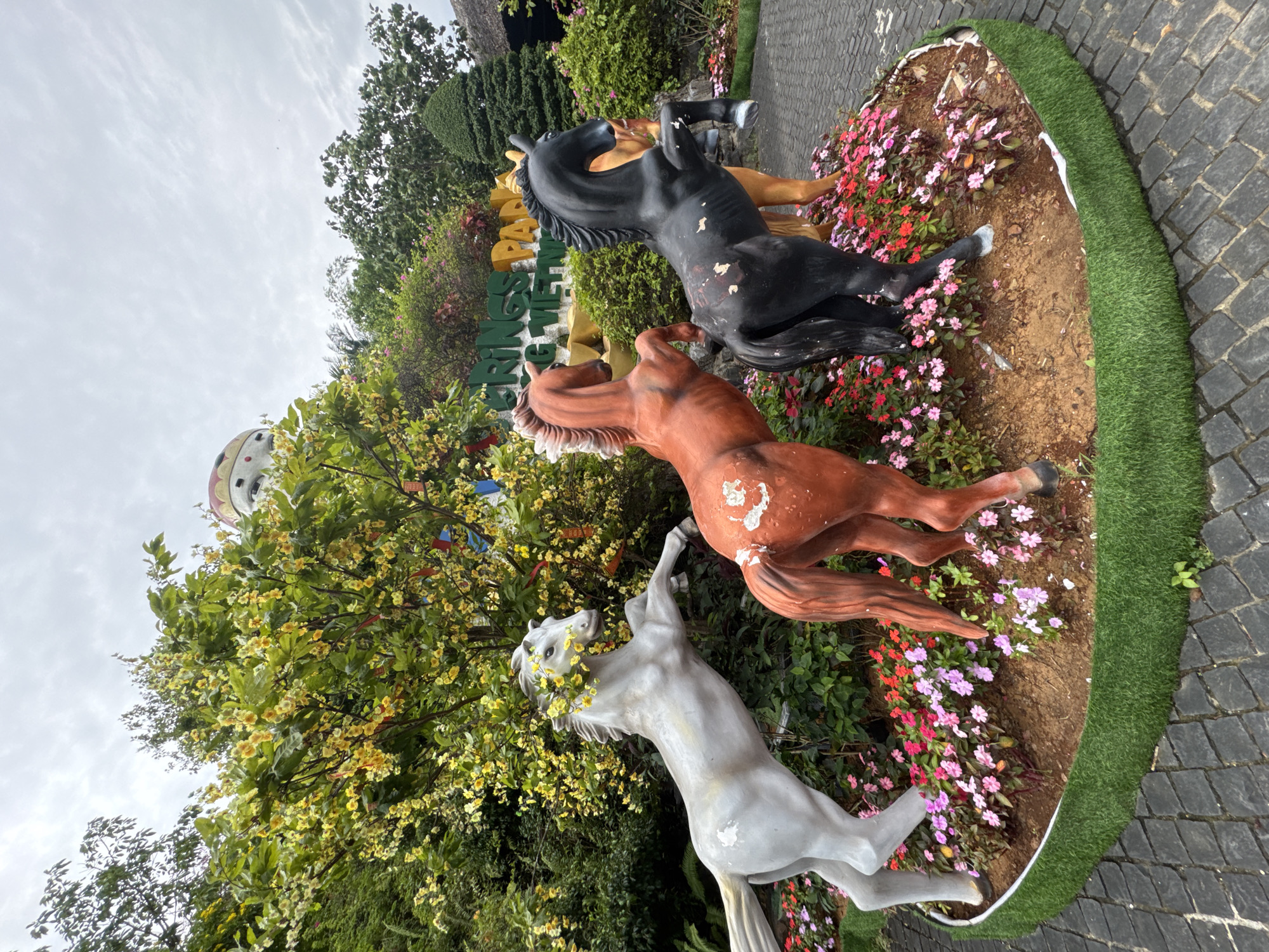 The image displays an outdoor decorative scene featuring three rearing horse statues set within a landscaped garden bed, likely part of a park or resort in Đà Nẵng, Vietnam.
The three prominent horse statues are positioned dynamically as if rearing. In the foreground, a light grey/white horse is seen, adorned with a garland of yellow flowers around its neck. Adjacent to it, a reddish-brown horse statue also rears. Further back, a dark brown or black horse statue stands prominently. All statues show signs of wear with some chipped or faded paint, revealing white patches.
The horses are situated in a circular garden bed filled with soil and an array of colorful small flowers, predominantly in shades of pink, red, and purple. This garden area is bordered by a strip of artificial green grass, which itself meets a paved walkway made of dark grey cobblestones.
Behind the statues, lush greenery is abundant, including a large tree bearing numerous bright yellow flowers, possibly Ochna integerrima, which partially covers a white, yellow, and red domed structure in the background. A large sign with multi-colored letters is visible behind the black horse, clearly showing "SPRINGS" in green and "PAL" (likely part of "PALM" or "PARK") in yellow, indicating a park or hot springs resort.
The scene is captured during the daytime under an overcast sky with visible clouds. No people are present, and the overall atmosphere is one of a well-maintained, decorative outdoor space.