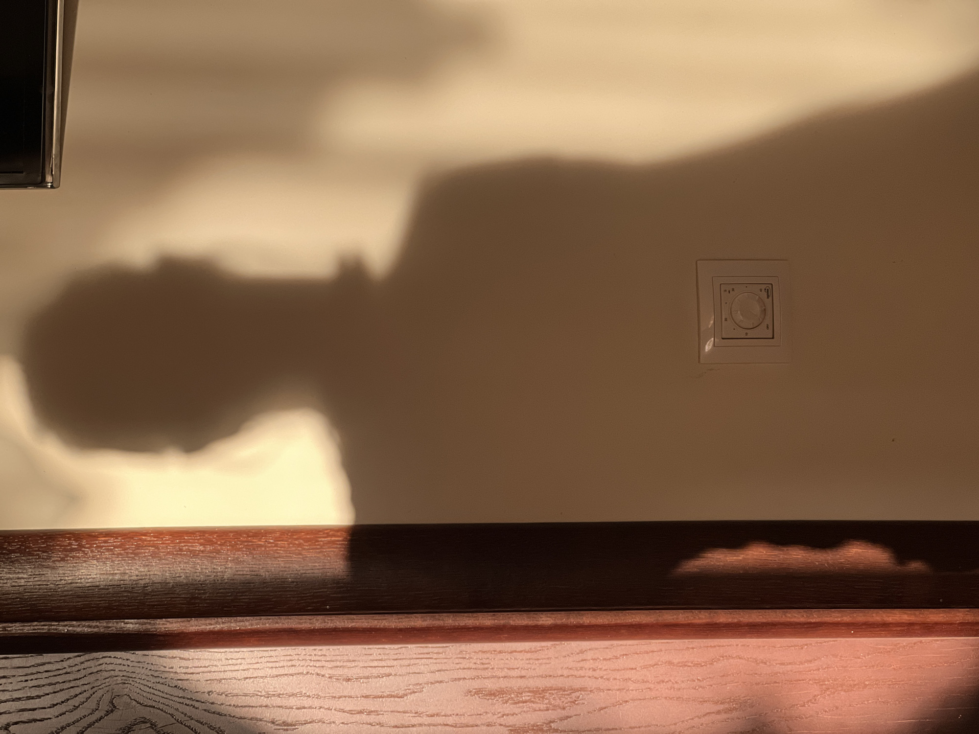 The image depicts a shadow of a person cast on a light-colored wall. The shadow is prominent and appears to be of a person standing, with their head and shoulders clearly visible. The lighting suggests it is late afternoon or early evening, with warm light creating long shadows. To the left of the wall, a wooden door frame is visible, with its textured surface and dark stain. A white electrical outlet with a circular dial is mounted on the wall, partially illuminated by the shadow. The overall environment appears to be indoors, possibly a hallway or room. The scene is static and does not show any dynamic action or interaction. There is no identifiable information regarding the city of Minsk, Belarus in the image itself.