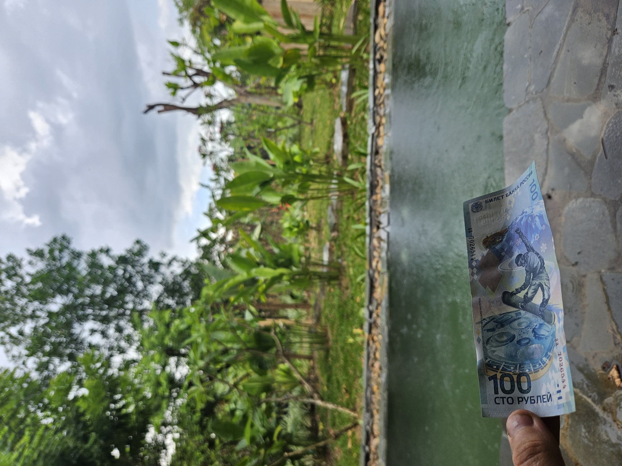 A hand holds a 100 Russian Ruble banknote in front of a body of green water, likely a pool or pond, at an outdoor location with lush vegetation and a cloudy sky. The banknote features imagery of a snowboarder and a circular design. The background shows a garden with various plants and trees, suggesting a tropical or subtropical environment. The ground in the foreground appears to be paved with stones. The scene is likely located in Đà Nẵng, Vietnam, given the typical climate and vegetation found in the region.