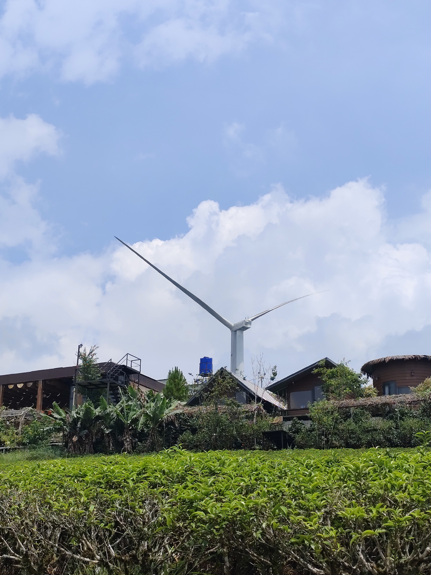The image shows a landscape in Trường Thọ, Vietnam, featuring a wind turbine positioned behind a tea plantation. The plantation consists of rows of neatly trimmed tea bushes, displaying vibrant green leaves. Behind the tea plantation, several buildings are visible, including a wooden structure with a thatched roof, and others with traditional gabled roofs. A water tank is visible next to one of the buildings. The background is dominated by a blue sky with scattered white clouds. The wind turbine is white, with two blades extended horizontally.