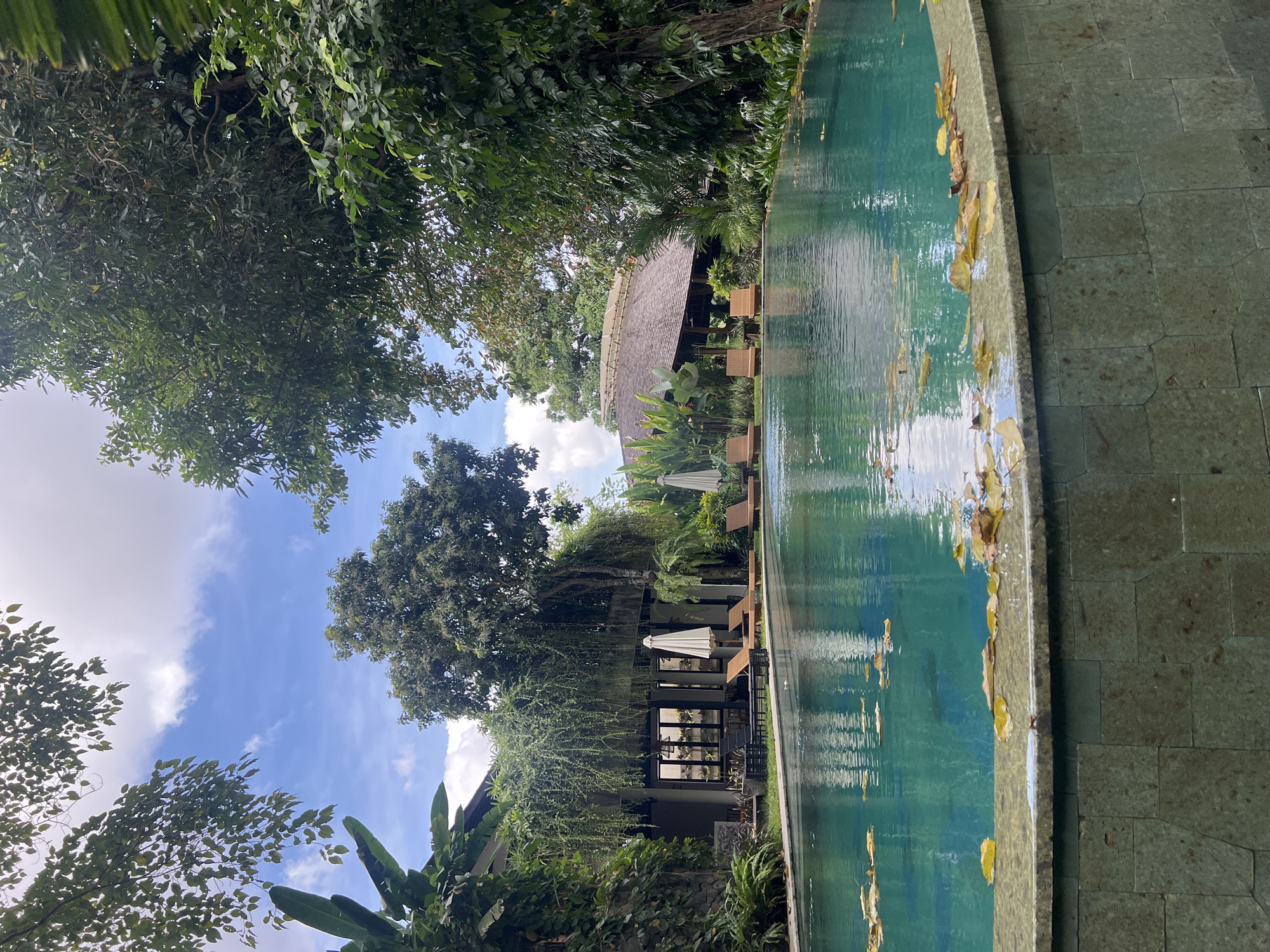This outdoor scene in Kerobokan, Indonesia, shows a turquoise-colored swimming pool with fallen yellow leaves along the edge. A low building with a dark roof is partially visible beside the pool, surrounded by lush greenery and trees. Patio furniture, including chairs and white umbrellas, can be seen near the building. The sky is blue with scattered clouds, visible through the trees.