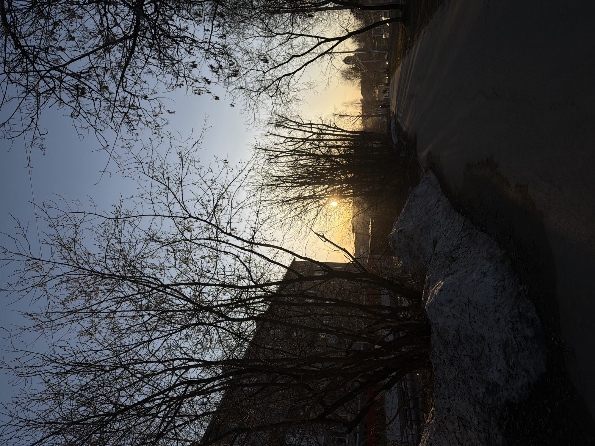 The image depicts an outdoor scene in Berezniki, Russia. The composition is dominated by bare trees silhouetted against a bright, possibly early morning or late afternoon, sky. A building is partially visible behind the trees in the lower portion of the frame, suggesting an urban environment. There is a sidewalk or road running parallel to the building. The foreground features snow and possibly ice covering a structure. The lighting is stark, creating strong contrasts between light and shadow. There are no people directly visible.
