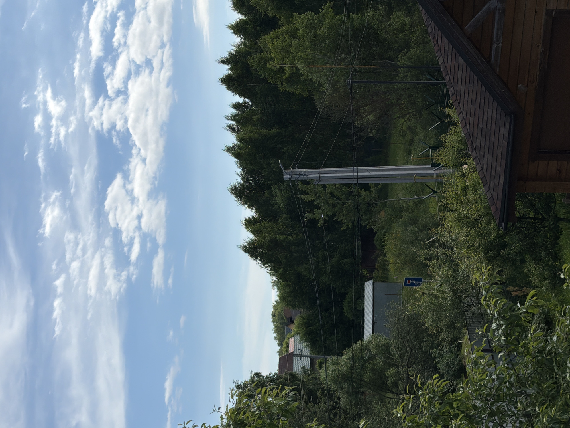 The image depicts a natural scene in Satino-Russkoe, Russia, under a partly cloudy blue sky. The foreground is dominated by lush green foliage, with the roof of a wooden structure visible in the lower right corner. A light-colored metal shed is situated among the trees. Several power lines crisscross the midground, supported by a concrete utility pole. A blue road sign with a white symbol is also visible. In the background, a dense line of dark green trees stretches across the horizon, interspersed with glimpses of houses with red and green roofs. The overall impression is one of a rural or semi-rural setting on a clear day.