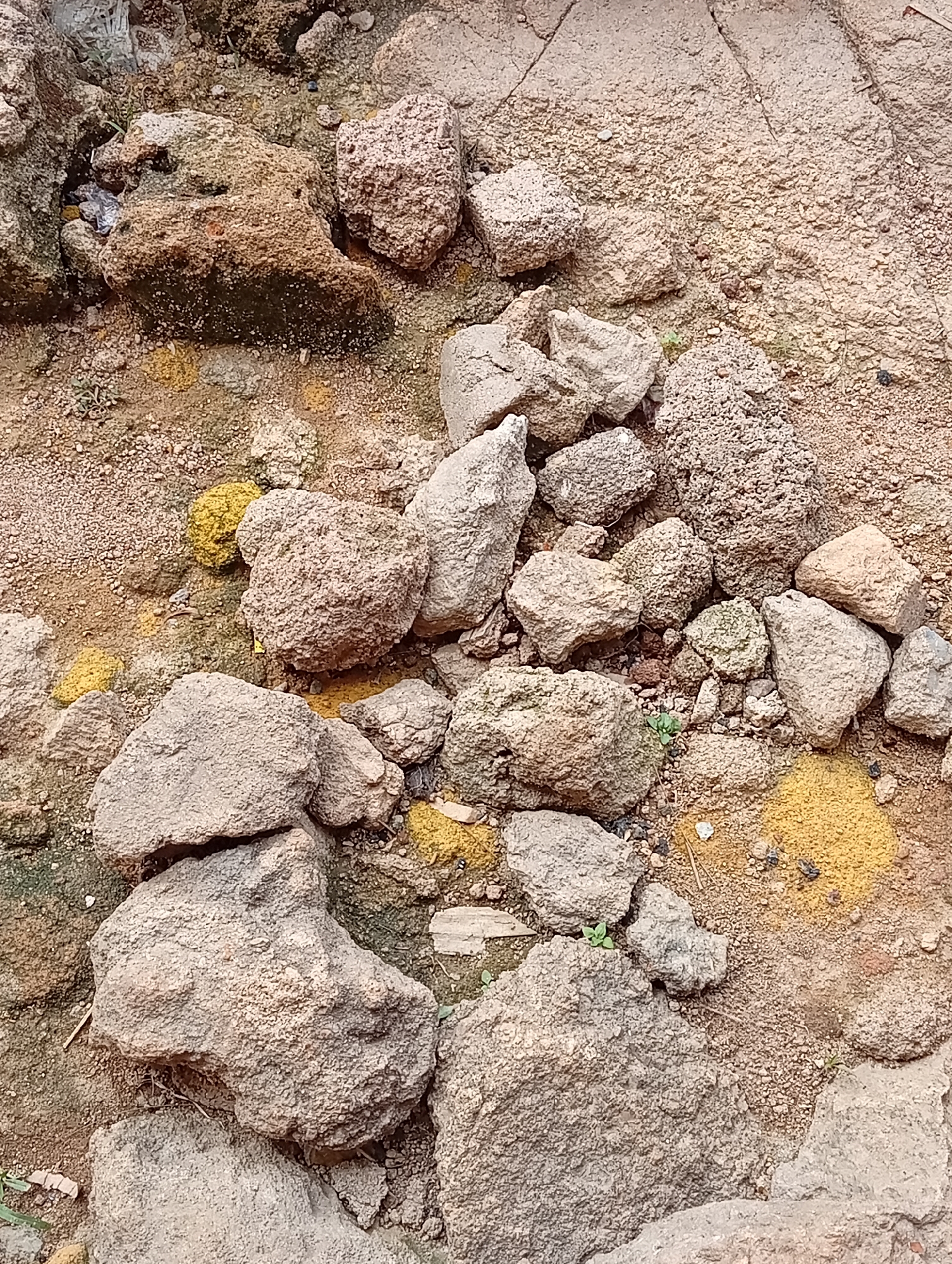 The image depicts a close-up, overhead view of a collection of rough, irregular-shaped rocks of various sizes scattered across a surface of granular dirt and sand. The rocks are predominantly shades of grey and light brown, with some exhibiting a rough, textured surface and others appearing smoother. Interspersed between the rocks are patches of a vibrant yellow substance, appearing as fine powder or pollen, concentrated in several areas. Small green sprouts of vegetation are visible growing in small patches amongst the dirt and rocks. The overall environment suggests an outdoor, possibly unkempt or natural setting. No people or discernible actions are present. The scene appears to be a ground-level view of a rocky, dusty area with scattered yellow material. The location is described as Jos, Nigeria, which might imply a context of typical urban or peri-urban ground conditions in that region, potentially a construction site, unpaved pathway, or natural erosion area.