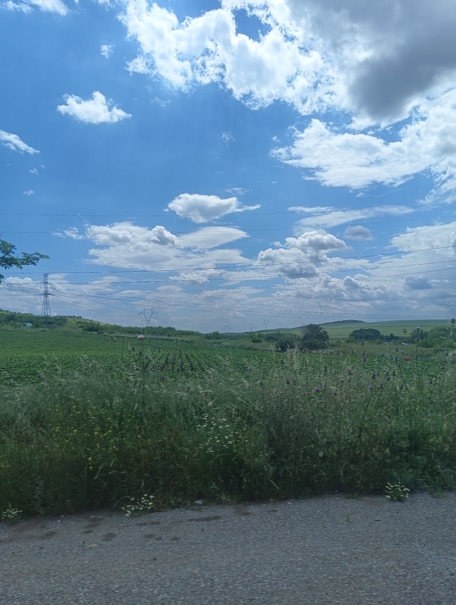 The image shows a rural landscape under a partly cloudy blue sky. The foreground features a gravel surface transitioning into a field of tall green grass and wildflowers. Beyond the foreground, a cultivated field stretches towards rolling green hills dotted with vegetation and occasional trees. Overhead, electrical power lines are visible, supported by towers in the distance. The scene is generally well-lit, suggesting a daytime setting. No people are visible in the image.