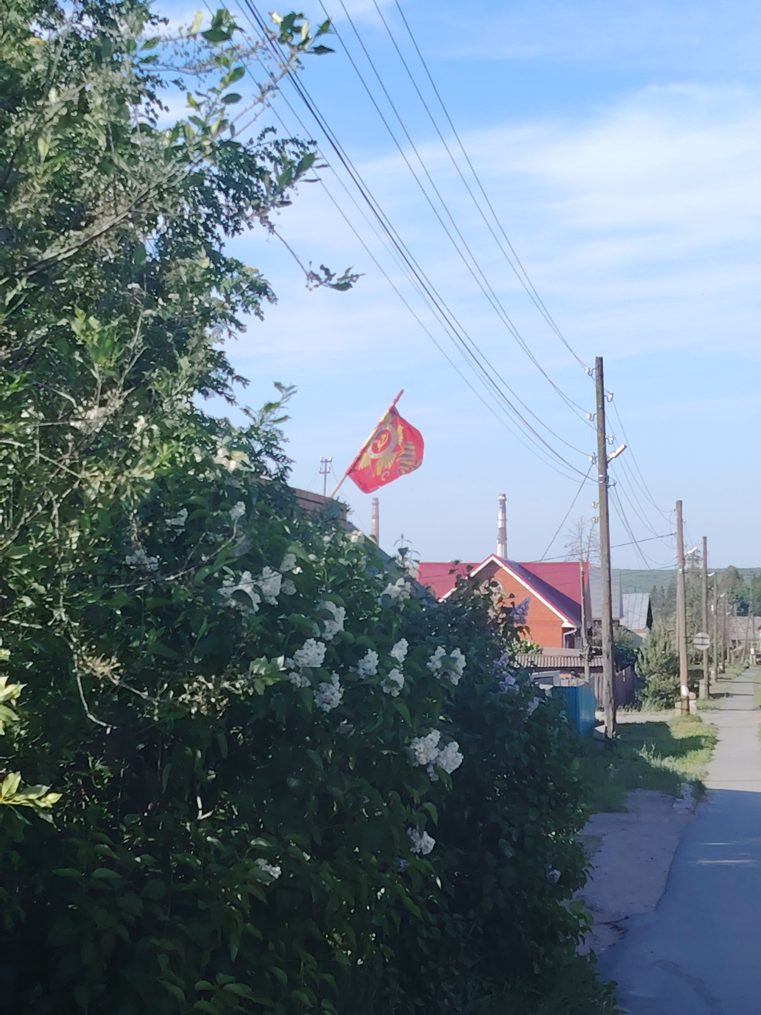 The image shows a street view in what is likely a residential area of Chaikovsky, Russia. A red flag bearing the emblem of the Soviet Union is seen blowing in the wind atop a building with a red roof. The street is paved with a sidewalk and a line of utility poles runs along the right side. A dense bush with white flowers partially obscures the view of the buildings in the background. The sky is blue with sparse white clouds. A chimney can be seen further down the street.