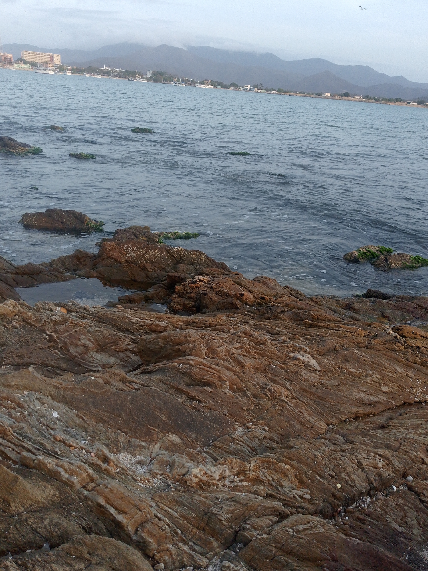 The image captures a rocky shoreline in Juan Griego, Venezuela. Brown and tan rocks dominate the foreground, displaying a layered pattern. A small pool of water is nestled among the rocks. The calm ocean extends to the horizon where land is visible, with buildings and structures along the coast and mountains in the background obscured by mist. Patches of green algae grow on some of the rocks in the water. The sky is overcast and the lighting is muted.
