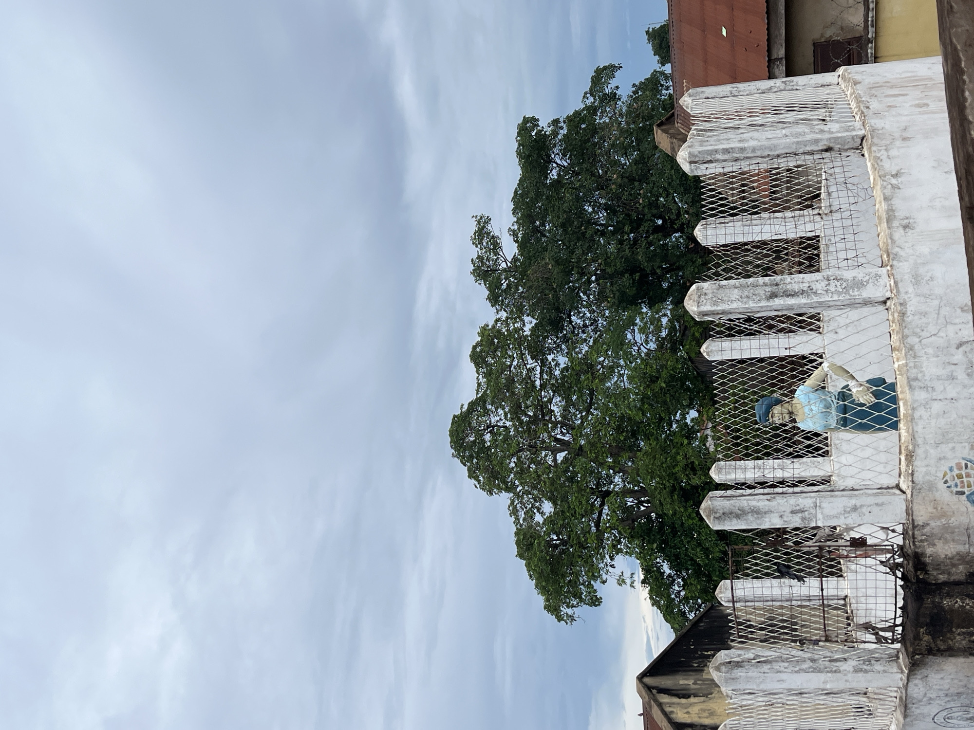 The image displays an outdoor scene under an overcast sky in Idah, Nigeria. The upper two-thirds of the frame are filled with a light gray, cloudy sky showing diffuse cloud formations. Below the sky, two large, dense green trees dominate the mid-ground, their foliage obscuring parts of the background.
To the left, behind the trees and a fence, is an old building with a dark, stained wall and a partially visible reddish-brown roof. On its roofline, a small, dark bird is perched. To the right, another building with a rusted, corrugated iron roof and a lighter-colored wall is visible, featuring a dark, rectangular window or opening.
In the foreground, a low, curved concrete wall, heavily weathered with dark stains and discoloration, forms a barrier. This wall supports a white metal mesh fence. The fence consists of equidistant white concrete posts, some with pointed tops, interconnected by a diamond-patterned wire grid, which exhibits signs of rust. A central section of the fence features darker, possibly rusted vertical bars, suggesting a gate or entrance. A dark bird is perched on the top of this central fence section.
Positioned behind the fence on the right side, a statue of a person, likely female, stands. The statue is painted with a dark blue head covering, a light blue top, and a darker blue skirt. Its left hand rests on its hip. Decorative, mosaic-like patterns are partially visible on the lower section of the concrete wall. The scene is illuminated by soft, diffused light, consistent with an overcast day.