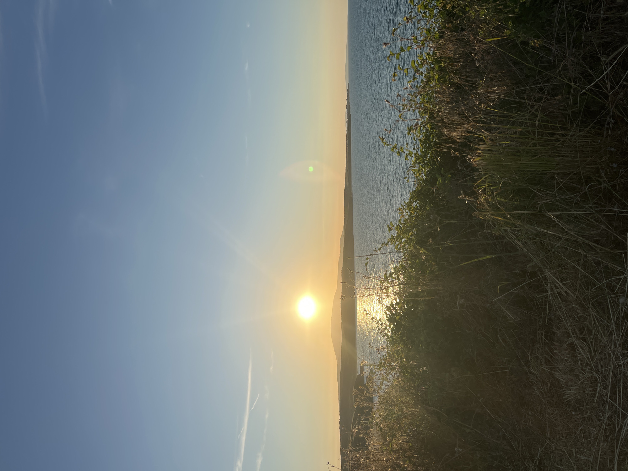 The image depicts a serene coastal landscape at sunset, likely near Sinemorets, Bulgaria. The sun, a bright orb, is positioned in the western sky, casting a golden glow on the calm sea and the distant, rolling hills. The water reflects the sunlight, creating a shimmering path towards the shore. In the foreground, dense, dry grasses and green bushes obscure the land, with some of the foliage illuminated by the setting sun. The sky is a gradient of clear blue at the top, transitioning to a soft yellow and orange hue near the horizon. Wispy clouds are visible high in the sky, and a faint lens flare is present on the right side of the image. The scene conveys a peaceful, natural environment.