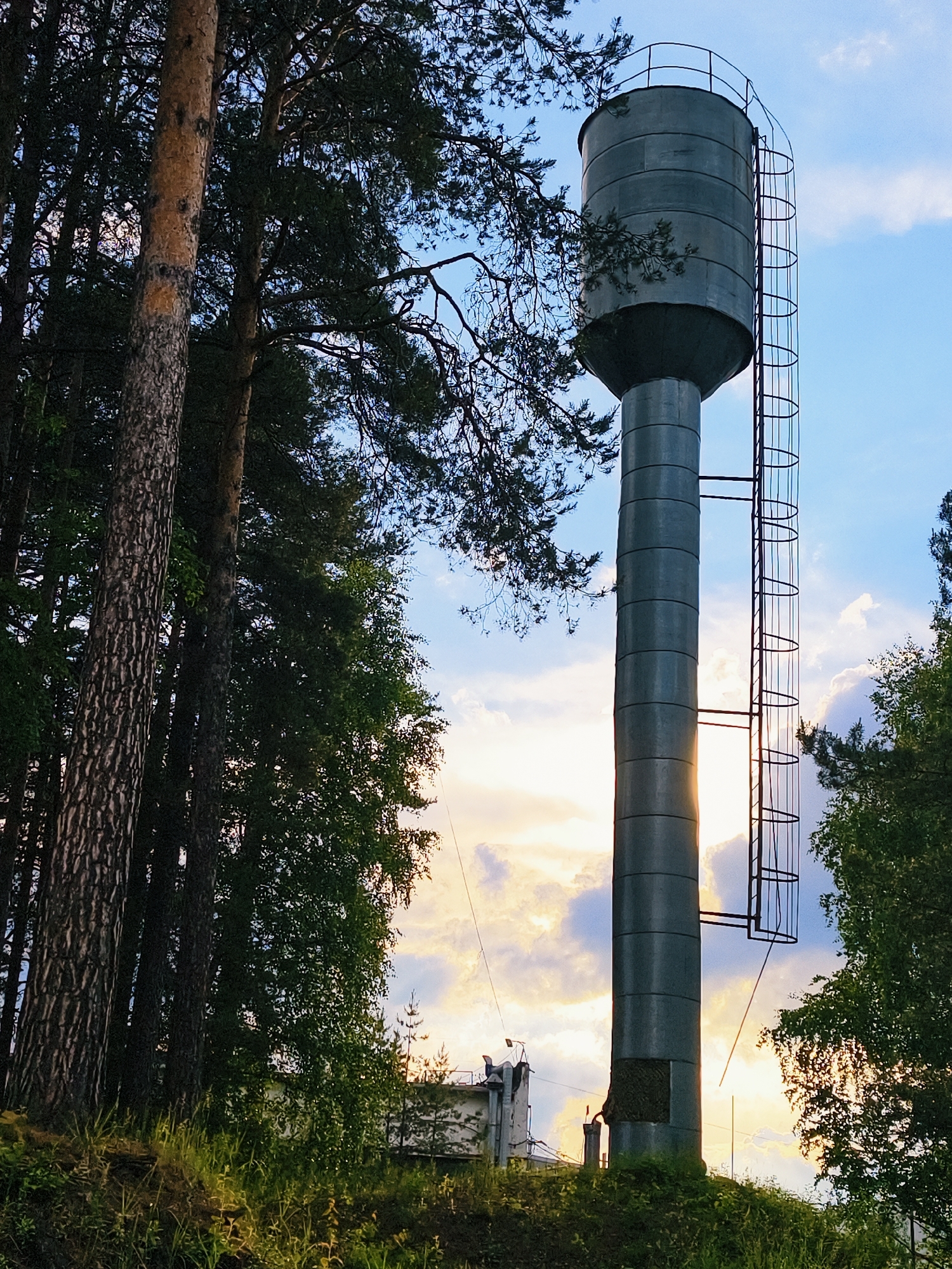 The image depicts a tall, gray metal water tower with a ladder extending up its side, standing on a grassy hill. The tower is positioned amongst trees, including tall pines on the left side of the image. A small building is partially visible behind the tower. The sky is visible behind the tower and through the trees, with clouds and sunlight. The scene appears to be outdoors and could be located in or near Noviy, Russia.