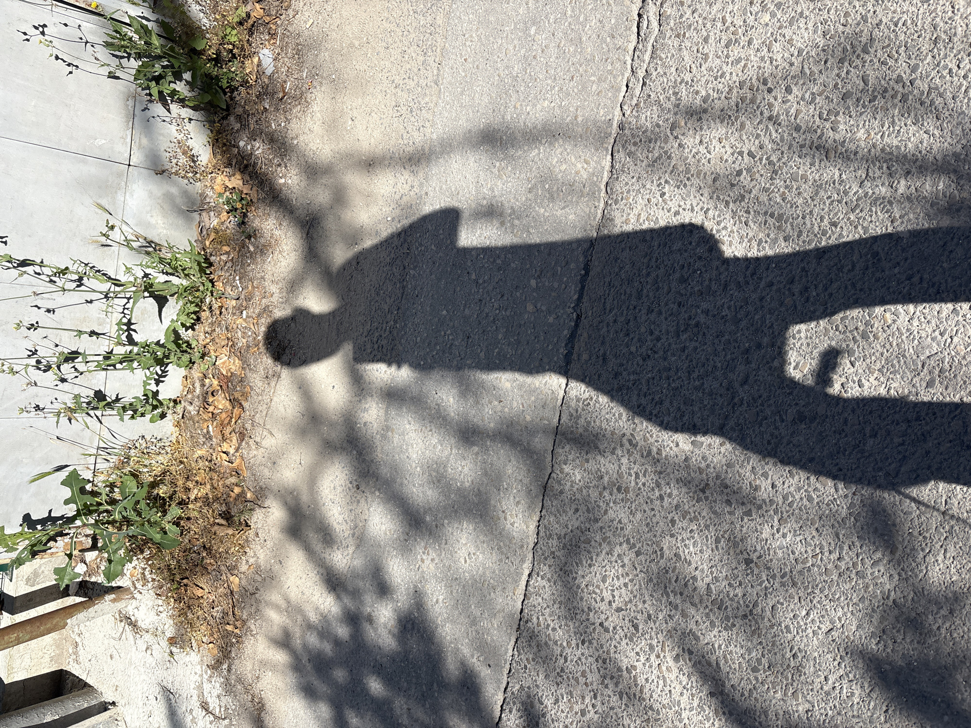 An outdoor, eye-level shot captures the shadow of a person standing on a cracked asphalt surface. The shadow, cast by sunlight filtering through foliage, depicts a full body with arms extended, holding a phone or camera. In the background, dry leaves and sparse vegetation are visible against a light-colored, textured wall, with some metallic posts. The scene is situated on a sidewalk in Varna, Bulgaria.