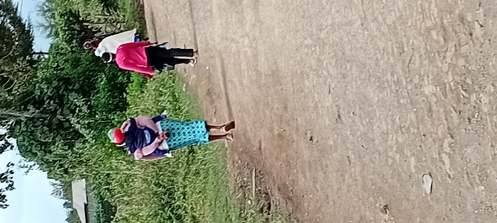 In Gatakaine, Kenya, an unpaved dirt path extends from the foreground into the background. Three individuals are observed walking away from the camera. The leftmost person wears a light-colored top, a patterned blue and white skirt, and light-colored sandals, carrying a child secured on their back. The child wears a red cap or head covering. The middle individual wears a long-sleeved pink shirt, dark trousers, and a dark head covering with a white band, carrying an unidentified dark object in their right hand. The third individual, positioned to the right of the second and partially obscured, wears a white garment that covers their body and head. To the left of the path, dense green vegetation, comprising tall grasses, bushes, and trees, lines the route. A single-story building with a light-colored roof is visible in the upper-left background, partially obscured by the foliage. The sky above is overcast.