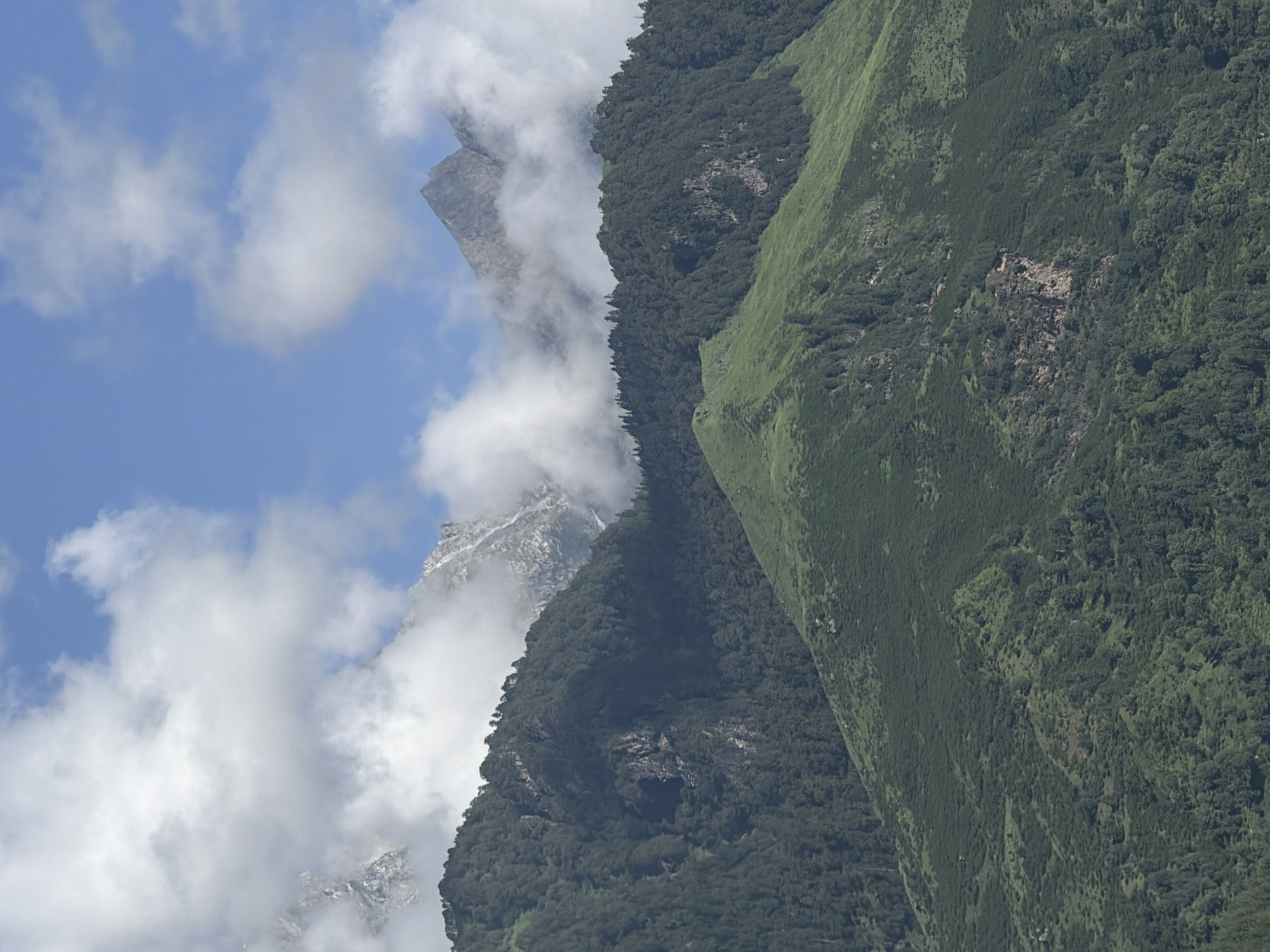 The image is a vertical, medium-shot photograph of a mountain landscape under a partly cloudy sky. The foreground is dominated by green, undulating hills covered in dense vegetation, possibly shrubs and low-lying trees. These hills recede into the middle ground, where a steeper mountain slope covered in dark green conifer trees rises dramatically. Further in the background, snow-capped mountain peaks are visible, partially obscured by white clouds. The sky is a bright blue, with scattered white clouds casting shadows on the mountains. The lighting suggests it is daytime, likely midday, given the brightness of the sky. The scene is devoid of any human presence or man-made structures. The location is identified as Bahang, India, suggesting this is a natural mountain vista.
