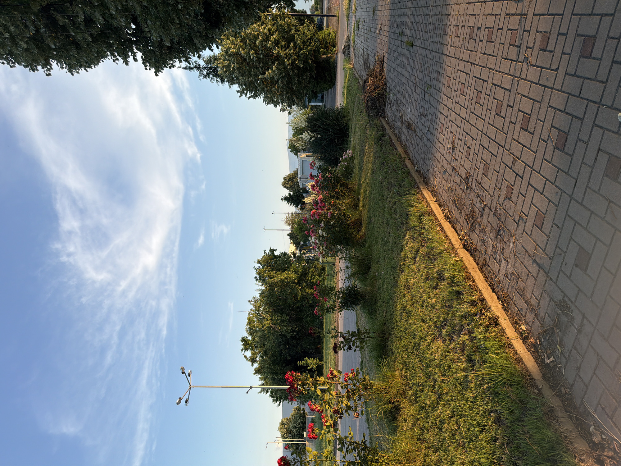 The image depicts an urban street scene in Pazardzhik, Bulgaria, with a focus on a landscaped area bordering a paved sidewalk. In the foreground, a sidewalk made of interlocking brick pavers runs diagonally from the lower right to the upper left. Adjacent to the sidewalk is a grassy area with a concrete curb, and beyond that, a planted strip featuring rose bushes with red and pink blooms. A street light with multiple lamps stands in the middle ground, to the left of the rose bushes. Further back, dense green trees form a backdrop, with hints of buildings and a distant hillside under a sky with wispy white clouds. The lighting suggests it is late afternoon or early evening, with the sun casting long shadows and illuminating the grass and sidewalk with a warm glow. There are no people visible in the scene.