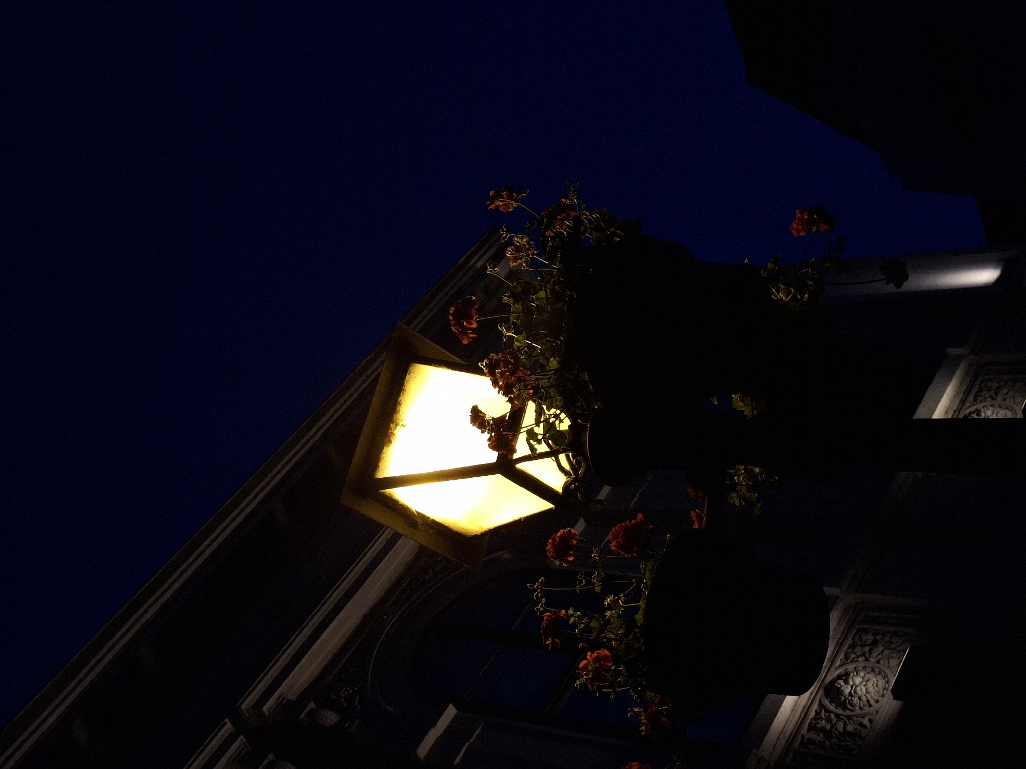 An illuminated streetlamp with hanging flower baskets is set against a dark blue night sky. The streetlamp has a yellow, translucent shade and is attached to the side of a building with decorative architectural elements. Red flowers with green leaves are visible in the baskets. The scene is low-light, with the light from the lamp creating a strong contrast with the dark surroundings. The location is identified as Zemun Urban Municipality, Serbia.