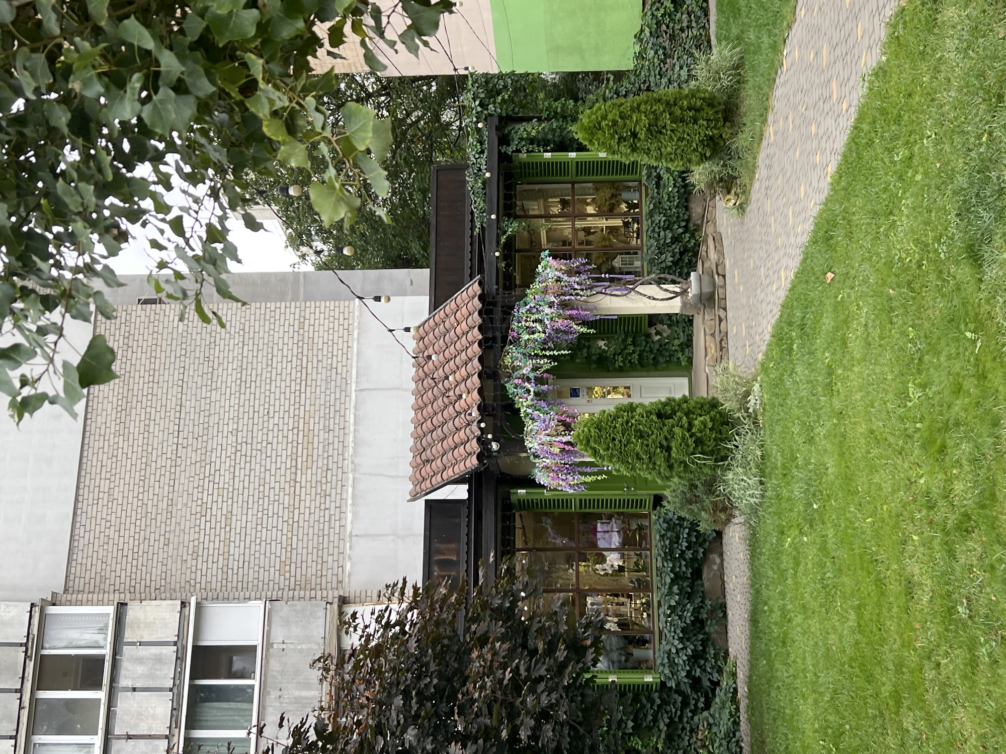 The image shows the exterior of a building with a charming storefront, likely in Odesa, Ukraine, given the context provided. The building appears to be an apartment complex, as indicated by the balconies visible on the left side of the frame. The storefront itself is decorated with lush greenery and floral arrangements. A prominent feature is the tiled roof above the entrance, adorned with string lights. Wisteria-like purple and pink flowers hang in cascades over the entrance, creating a welcoming and whimsical atmosphere. The entrance is flanked by green shutters and two conical evergreen trees. A paved walkway leads from the foreground lawn to the entrance. The overall scene suggests a well-maintained and inviting commercial space, possibly a cafe, florist, or boutique, nestled within a more typical urban environment.