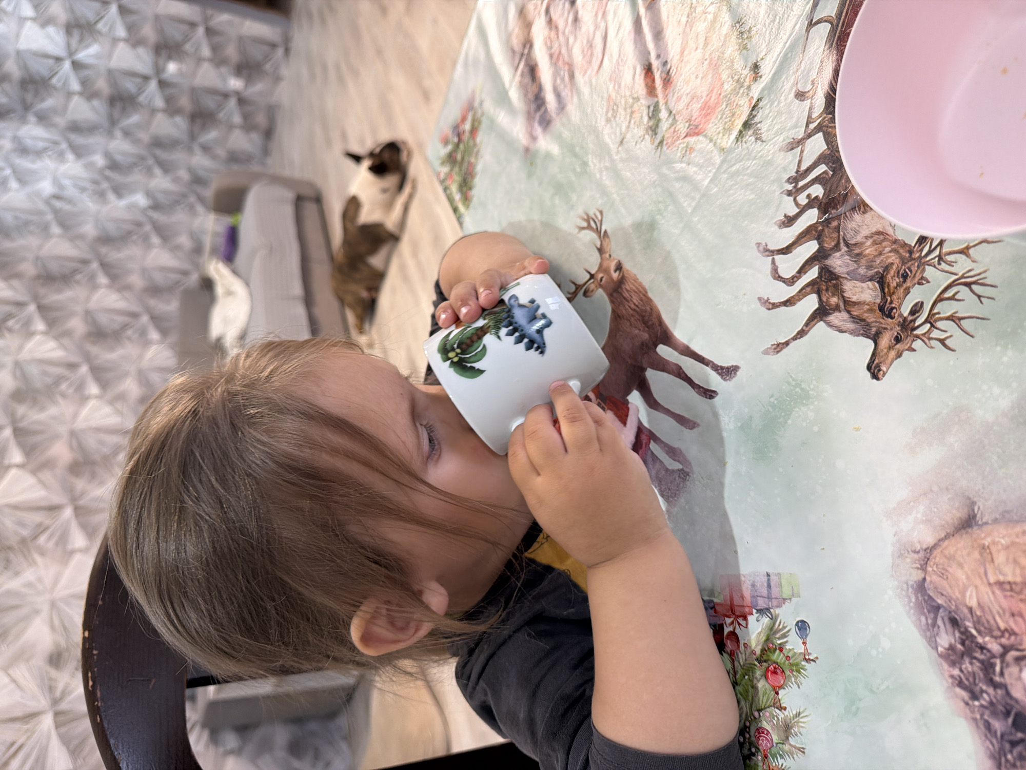 A young child is drinking from a white mug decorated with a palm tree design while seated at a table. The table is covered with a light-colored tablecloth featuring images of reindeer and Christmas decorations. A pink plastic plate is also on the table. A dog stands on its hind legs in the background near a couch. The location is in an interior space in the city of Chaikovsky, Russia.