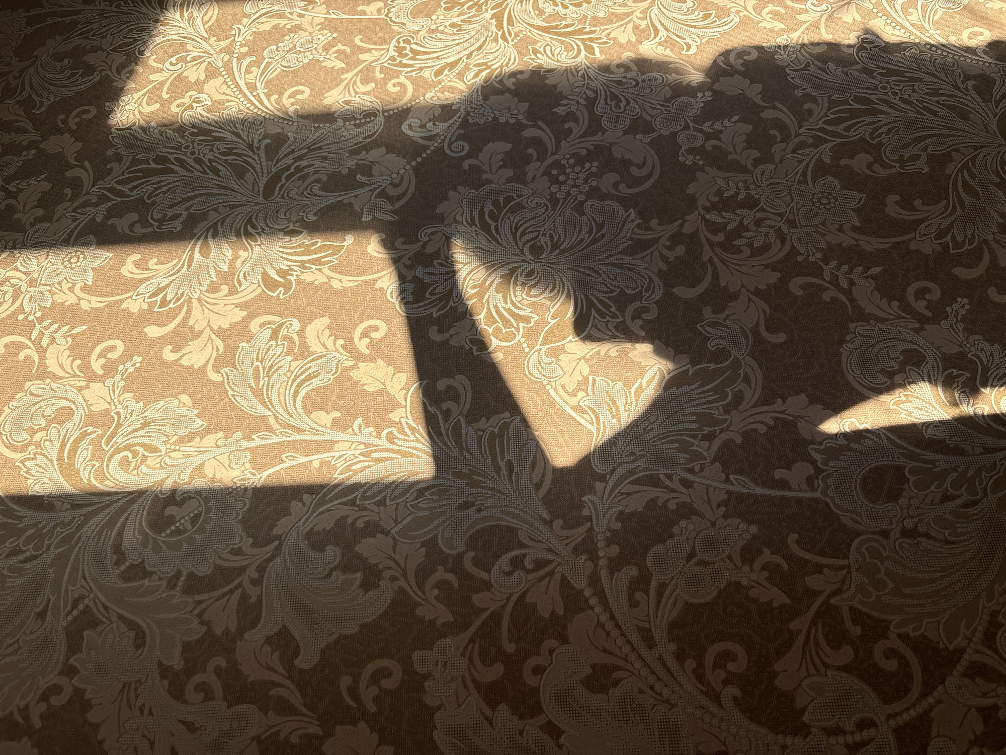 The image shows a patterned carpet or rug, predominantly in shades of beige and light brown, with a repeating floral or ornamental design. Overlaid on the carpet are sharp-edged shadows, indicating a strong, direct light source. The shadows suggest a window or other geometric structure casting the light. The scene does not provide any elements that would suggest the location in Chaikovsky, Russia. No people, subjects, objects, actions, or interactions are visible aside from the patterned rug and shadows. The environment consists of an interior space illuminated by a light source.