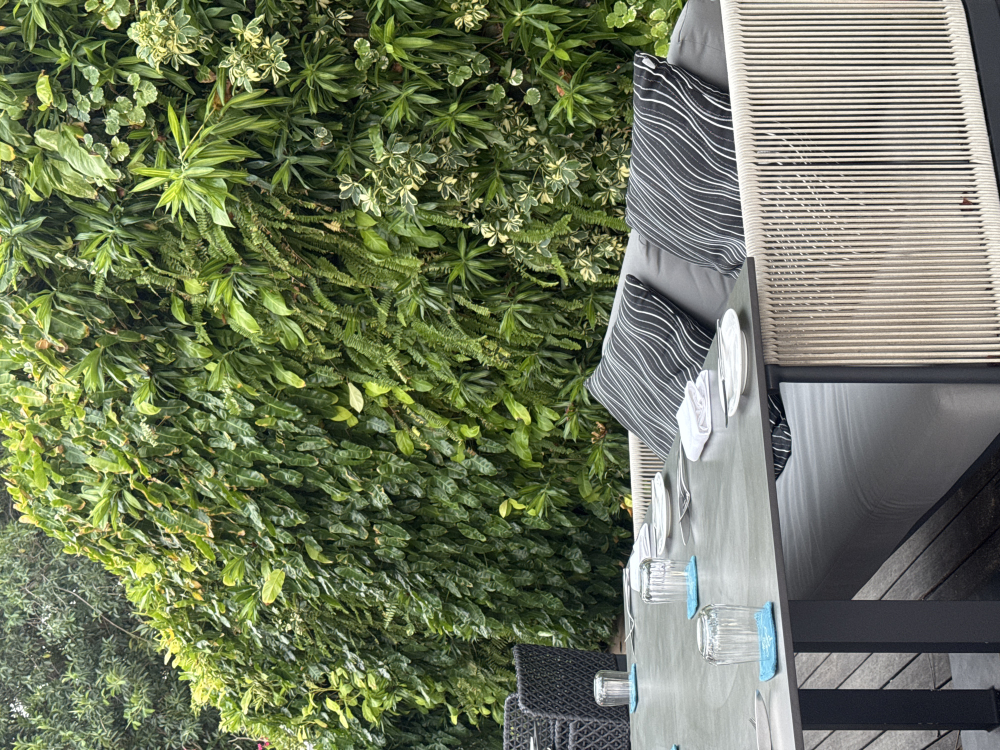 This image depicts an outdoor dining setting with a lush green vertical garden wall as a backdrop. The scene is located in Kuta Selatan, Indonesia. A rectangular, dark-colored table is set for a meal with white plates, silverware, and clear drinking glasses on blue coasters. Two black and white striped cushions are visible on a gray outdoor sofa. To the left, a dark woven chair is partially visible. The vertical garden wall is densely planted with a variety of green foliage, creating a vibrant and natural ambiance. The lighting suggests it is daytime, likely overcast or in shade, as there are no harsh shadows.