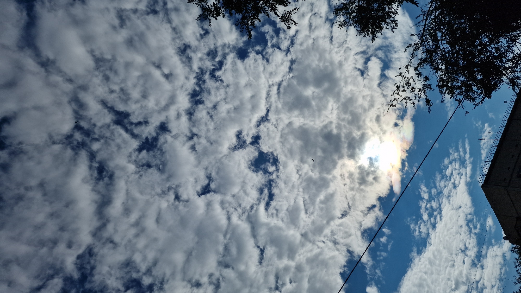 This image captures a view of the sky above Kostanay, Kazakhstan, featuring a dynamic interplay of clouds and sunlight. The sky is a bright blue, interspersed with scattered cumulus clouds, some of which are dense and white, while others appear darker and more textured, indicating depth and variation in the cloud cover. The sun is partially obscured by clouds, creating a bright, almost iridescent halo with subtle rainbow-like colors. A thin black power line stretches diagonally across the frame, adding a man-made element to the natural scene. In the distance, silhouetted against the sky, are the tops of trees on the right side of the image, and the roofline of a building on the lower left, suggesting an urban or semi-urban environment. A very small, dark object, possibly a bird or a distant airplane, is visible in the upper central portion of the sky, and another small dark object, similar in appearance, is visible lower down and to the left of center. The overall impression is one of a bright, partly cloudy day.