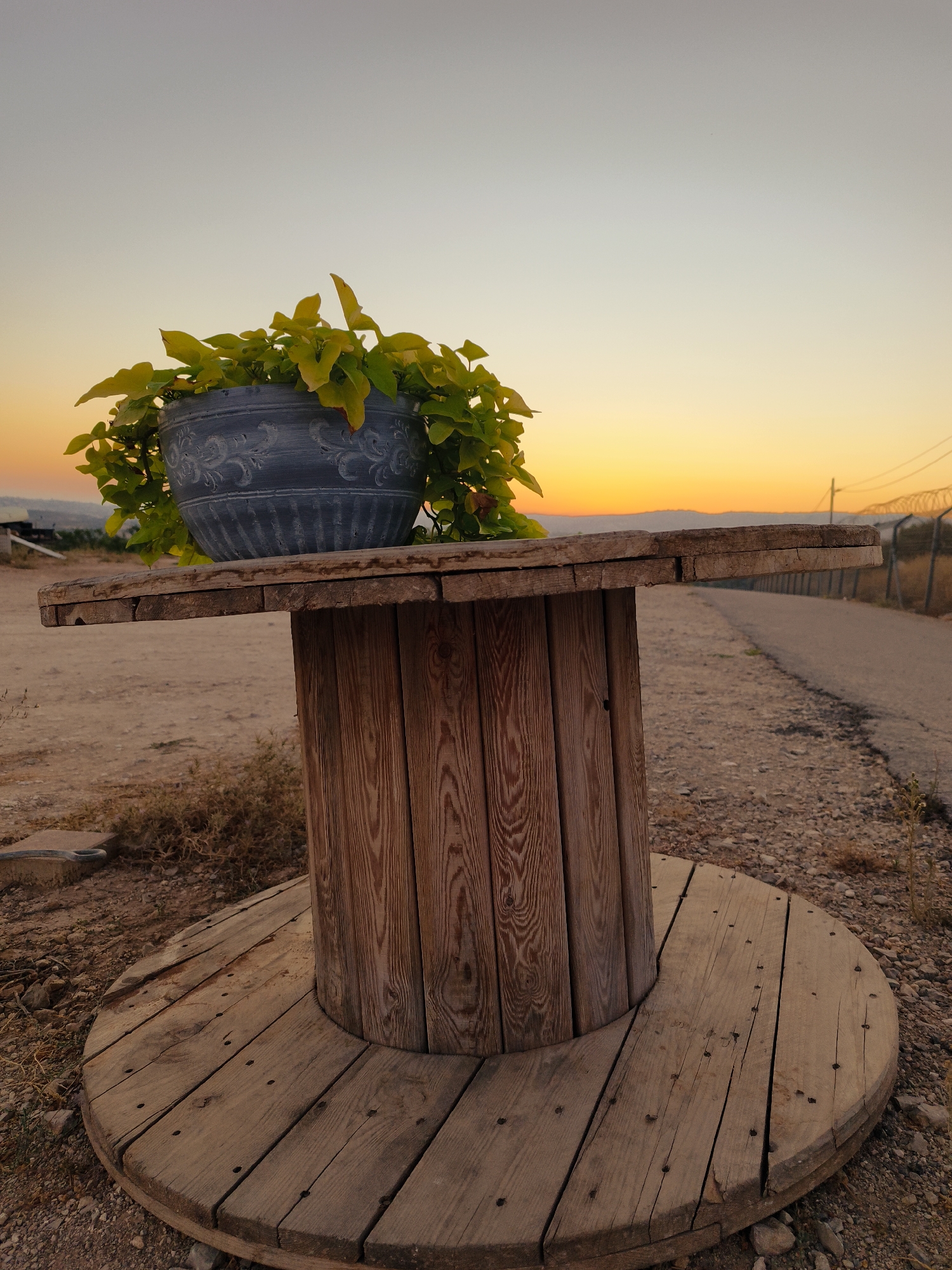 A potted plant with vibrant green leaves sits atop a rustic wooden cable spool table. The table, constructed from planks of weathered wood, has a circular base and a rectangular top. The spool itself is made of vertical wooden slats. Behind the table, a dirt path leads to a paved road, bordered by dry brush and rocks. In the distance, a barbed-wire fence runs alongside the road. The sky is a soft gradient of pale blue at the top, transitioning to a warm orange and yellow hue near the horizon, indicating either sunrise or sunset. The overall scene appears to be in a rural or semi-rural setting within the Lachish Regional Council, Israel. No people are visible in the image.