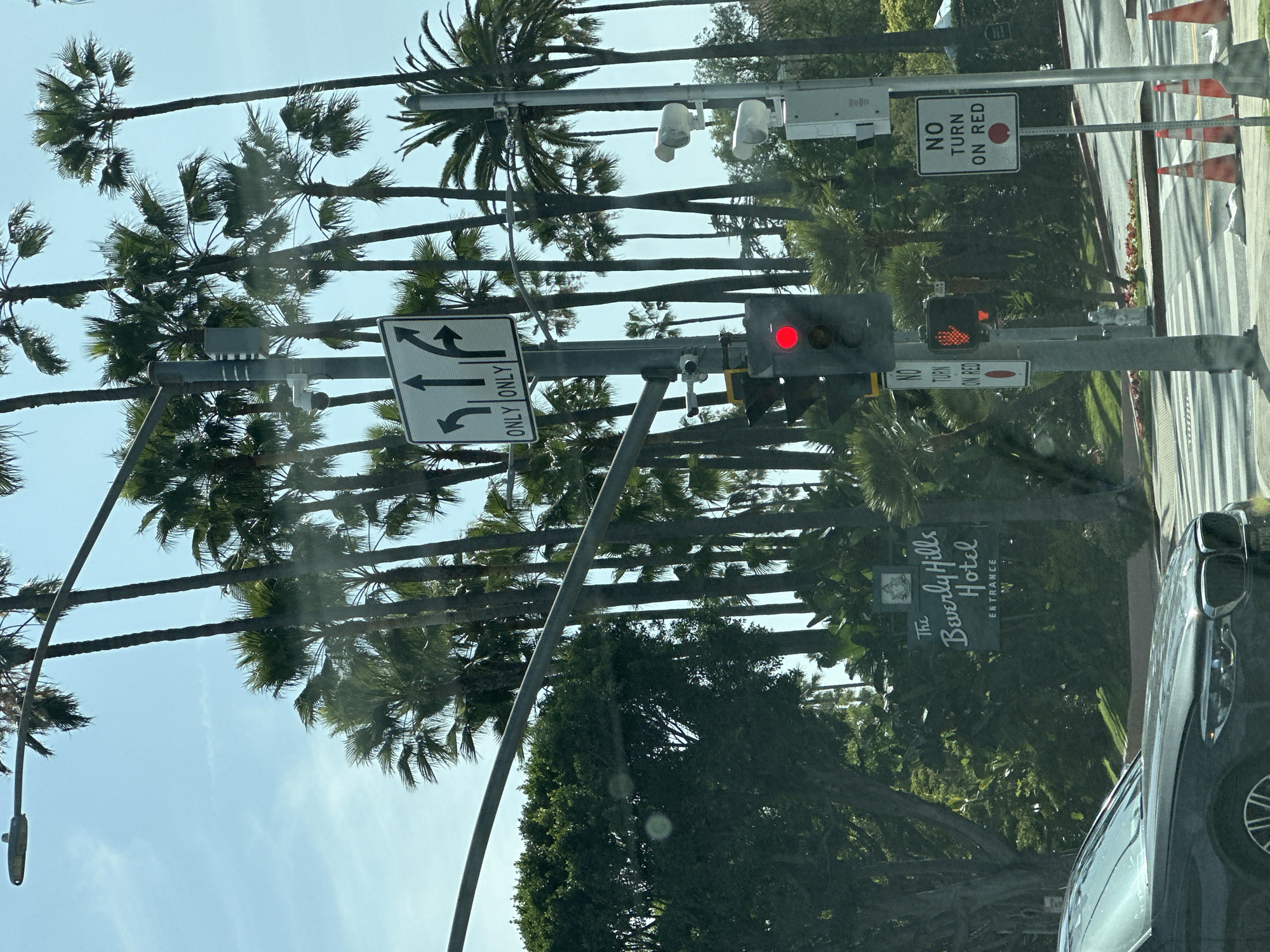 The image depicts an outdoor street scene at an intersection on a clear, sunny day. Numerous tall palm trees line the background, contributing to a warm, bright atmosphere.
In the midground, a traffic light displays a solid red signal. Adjacent to it, a pedestrian signal shows a red "don't walk" hand symbol. Several road signs are visible: one sign features arrows indicating allowed turns for left, straight, and right lanes, accompanied by the text "ONLY ONLY". Two other signs, positioned both above the traffic light and near the pedestrian signal, clearly state "NO TURN ON RED" and include a red circular symbol.
On the far right, the front fender and wheel of a dark-colored vehicle are partially visible. Further to the right, orange traffic cones are placed near a marked crosswalk on the street. Behind the traffic signals and amidst dense green foliage, a sign for "The Beverly Hills Hotel ENTRANCE" is partially discernible, providing a clear location cue.
The scene portrays a typical urban or suburban thoroughfare, equipped for managing both vehicle and pedestrian traffic in Beverly Hills. No individuals are visible, but the presence of traffic infrastructure indicates a populated area.