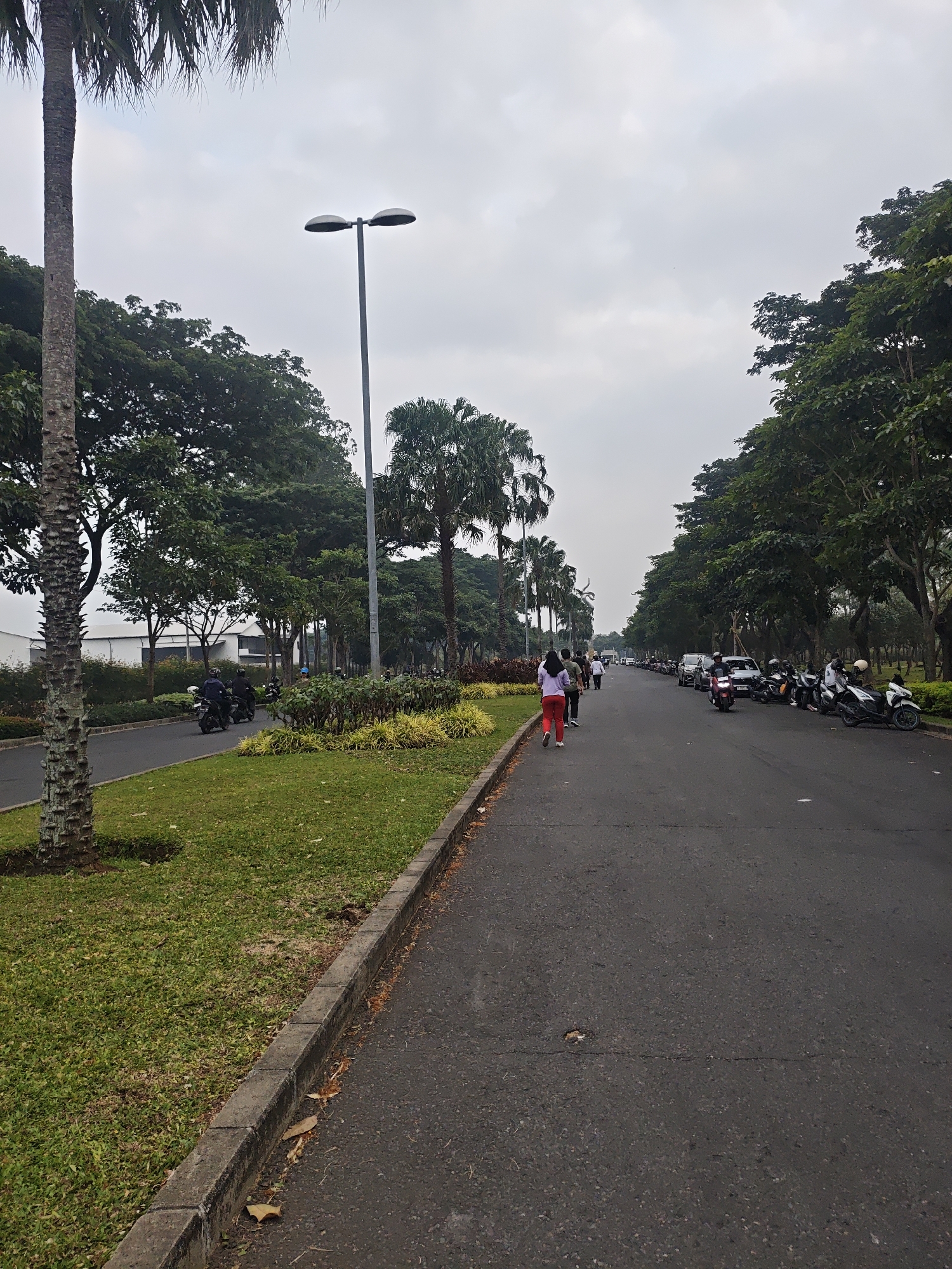 The image depicts a wide, paved road lined with lush green grass and various trees, including palm trees, on either side. A streetlamp with two lights stands tall on the left side of the road, casting a faint glow against the overcast sky. Several people are walking and riding motorcycles along the road. Some motorcycles are parked on the right side of the road, near a row of bushes and trees. In the distance, more trees and buildings are visible, suggesting an urban or suburban setting. The overall impression is of a peaceful, well-maintained area within the city of Bacin, Indonesia.