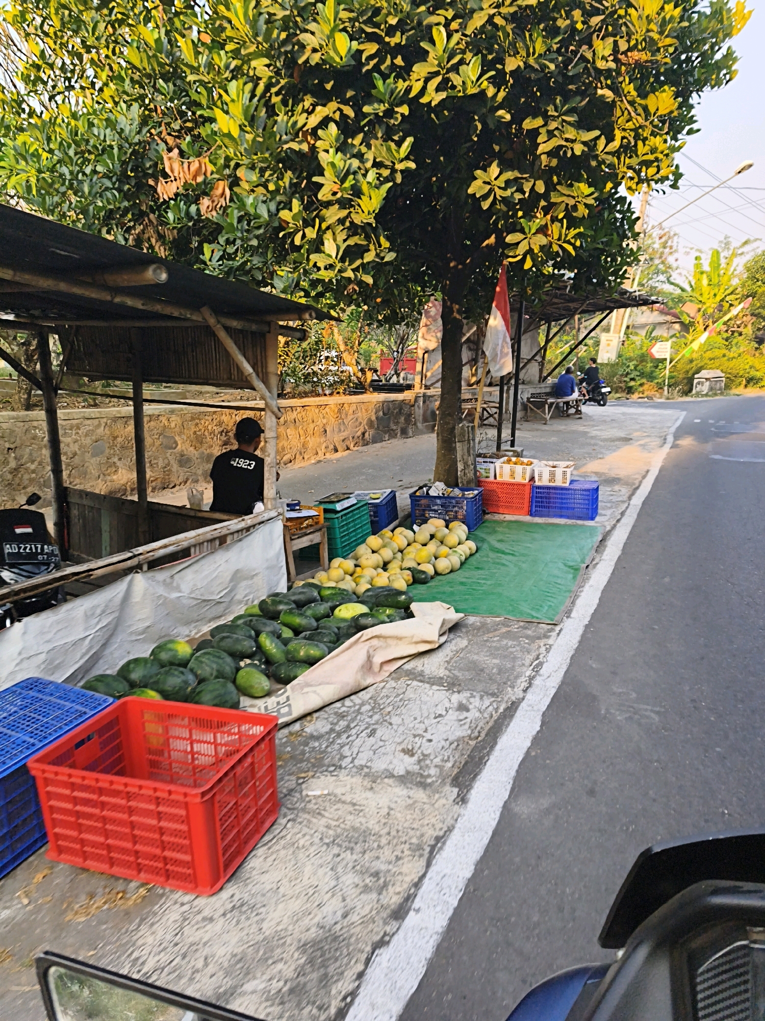 The image depicts an outdoor fruit stand situated on the side of a road in Desa Dibal, Indonesia. In the foreground, a red plastic crate is prominently displayed, next to a blue plastic crate. A large pile of green watermelons is spread out on a green tarp and a light-colored cloth, extending towards the back of the scene. Further back, a vendor wearing a black t-shirt with "1923" printed on it stands behind a wooden counter, seemingly engaged in selling the produce. Behind the vendor, a stone wall forms the background. The scene is framed by a large tree with lush green foliage overhead, and an Indonesian flag is visible on a pole behind the tree. In the distance, two individuals are seated on a bench near the roadside, and a motorcycle is parked to the left of the fruit stand. The road itself, paved with asphalt, runs along the right side of the image, with a white line marking its edge. The overall environment suggests a rural or semi-urban setting in Indonesia during daylight hours.