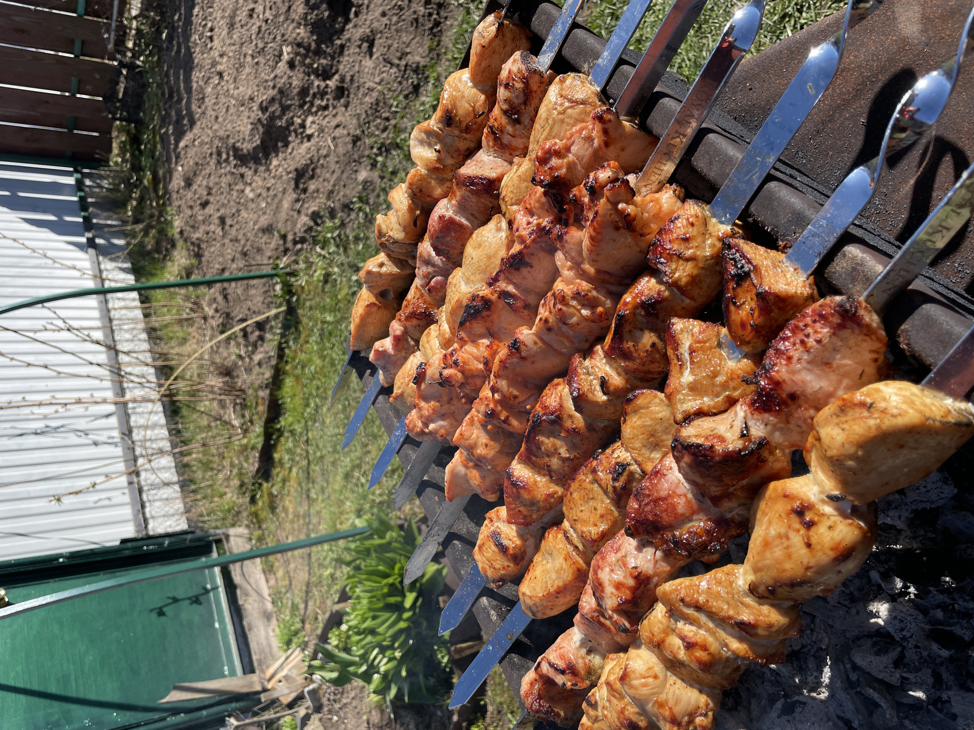 The image depicts shashlik, a type of kebab popular in Eastern Europe and Central Asia, being cooked on a grill. The metal skewers are laden with chunks of marinated meat, likely pork or lamb, exhibiting a browned and slightly charred exterior indicative of grilling. The grill itself is positioned outdoors, with vegetation and garden elements visible in the background, suggesting the setting is a backyard or park. Given the request for location context, it is stated that the image was taken in the city of Chaikovsky, Russia. No people are visible in the image.