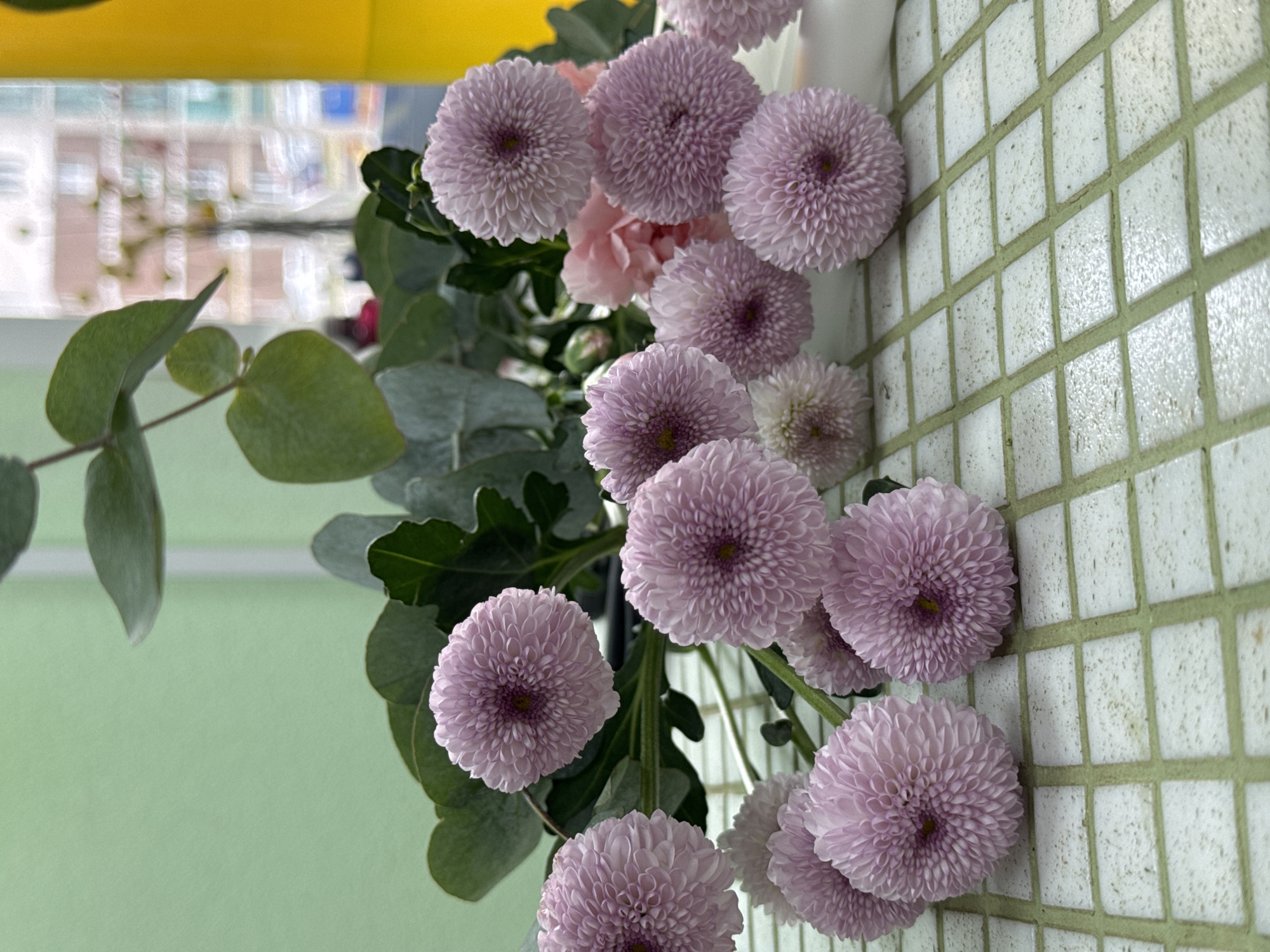The image shows a bouquet of light purple pompom chrysanthemums and eucalyptus branches arranged against two backgrounds: a light green wall on the left and a white tiled wall with green grout on the right. A hint of yellow and a blurred cityscape are visible in the background, above the left wall. The flowers are the primary focus, with the eucalyptus leaves adding a touch of greenery. The location cannot be determined from the image. There is no evidence of the location being in Izhevsk, Russia. No people are visible in the image.
