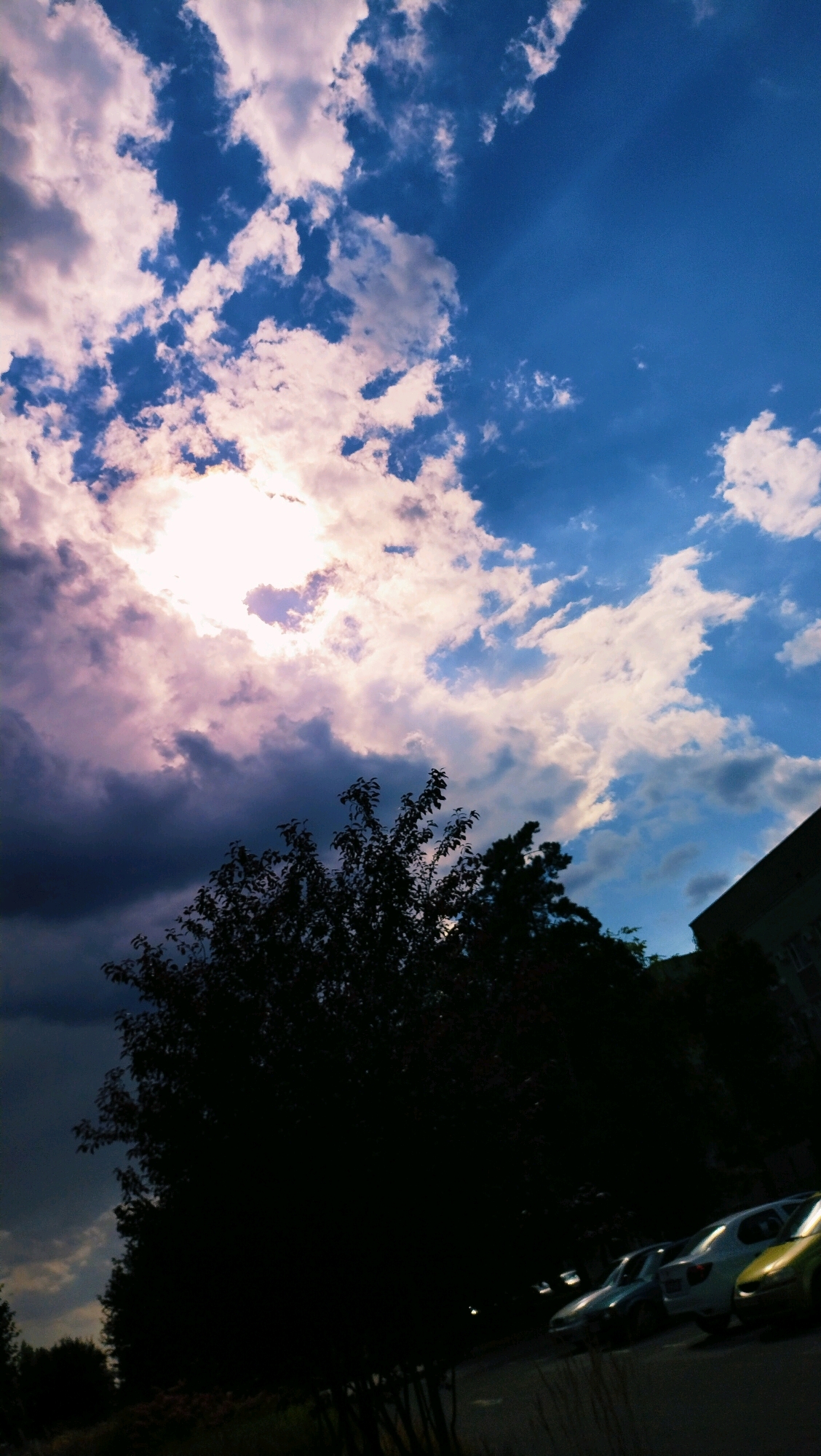 A low-angle, vertical shot captures a dramatic sky over Horishni Plavni, Ukraine. The upper portion of the frame is dominated by a bright blue sky interspersed with white and pink-tinged clouds. A prominent area of bright light, likely the sun, shines through a break in the clouds on the left side. The lower half of the image is filled with the dark silhouette of dense foliage from a tree, with its branches extending upwards. To the right, a dark-colored building is partially visible against the sky. In the foreground at the bottom, the silhouettes of several parked cars are discernible on an asphalt surface.
