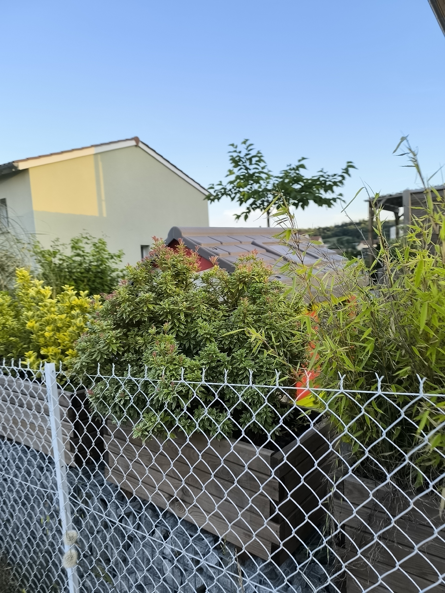 The image depicts a fence with a wooden planter box behind it, partially filled with plants and bamboo. The location is likely in Pélussin, France, given the request. Behind the planter, a small shed with a brown roof and red accents is visible. Further in the background, a light green building is partially visible, alongside a tree and another structure. The sky above is a clear blue. The fence is made of wire mesh and is supported by white posts. Gravel is visible at the base of the fence.