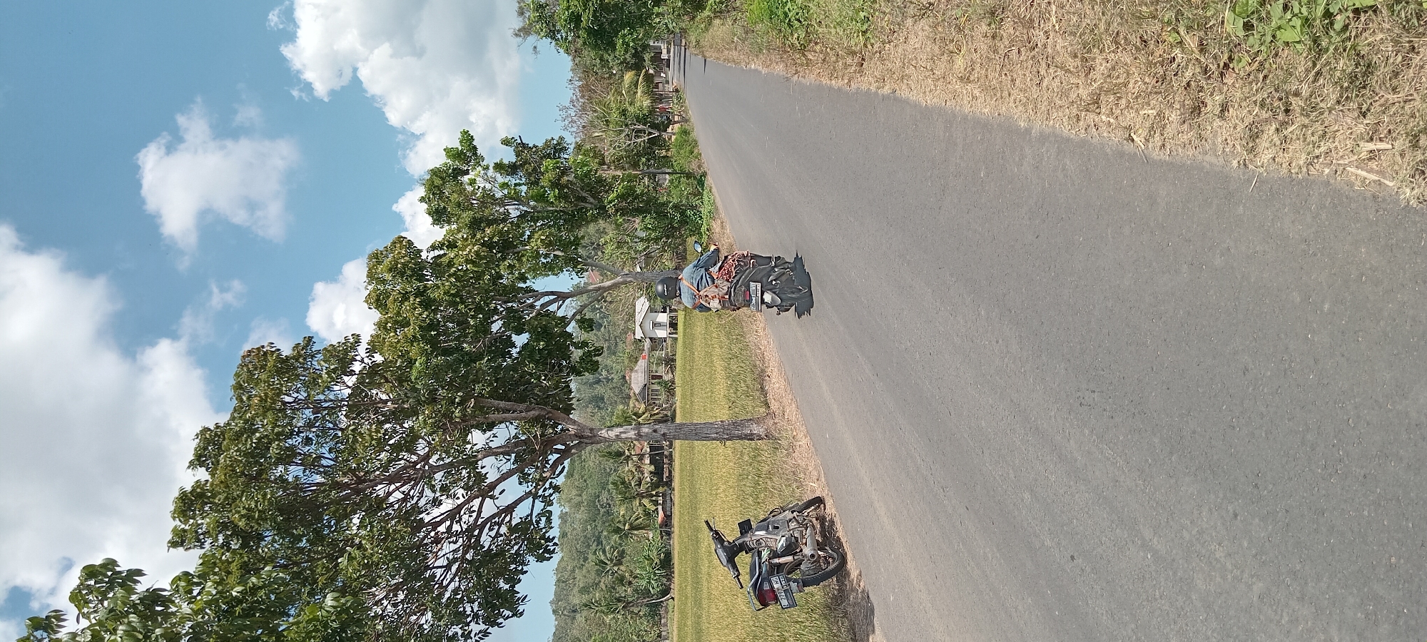 An outdoor, eye-level, full shot captures a rural road scene in Paledah, Indonesia, under a bright, partly cloudy blue sky. The road, paved with asphalt, stretches into the distance, curving slightly to the right. On the left side of the road, a motorcycle is parked on the grassy shoulder. The motorcycle is dark colored with some reflective stickers and a visible license plate. Further down the road, a person is riding a motorcycle away from the camera. This rider is wearing a blue denim jacket, dark pants, a helmet, and has a patterned bag strapped to the back of the motorcycle. The landscape beside the road features a field of yellowing rice paddies, dotted with trees. In the background, there are houses and more trees, with a gentle slope of green hills rising behind them. The overall scene depicts a sunny day in a rural Indonesian setting.
