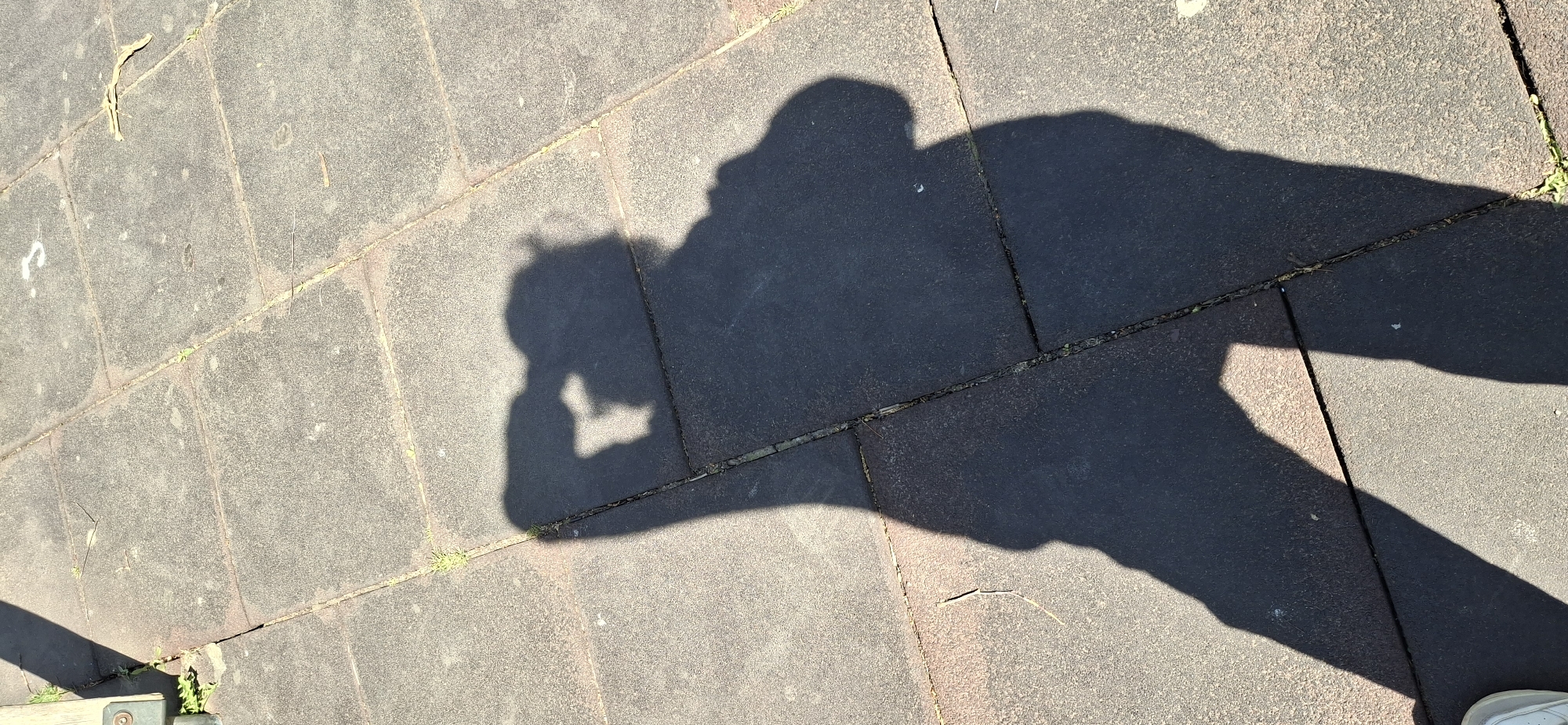 The image depicts a shadow cast on a paved surface, likely in Chaikovsky, Russia. The shadow appears to be of a person holding a camera or phone, possibly taking a picture. The ground is composed of interlocking stone or concrete blocks, and small patches of vegetation are visible in the seams. The scene appears to be outdoors, and based on the shadows and lighting, likely daytime. A small part of a green object lies at the bottom left corner of the image.