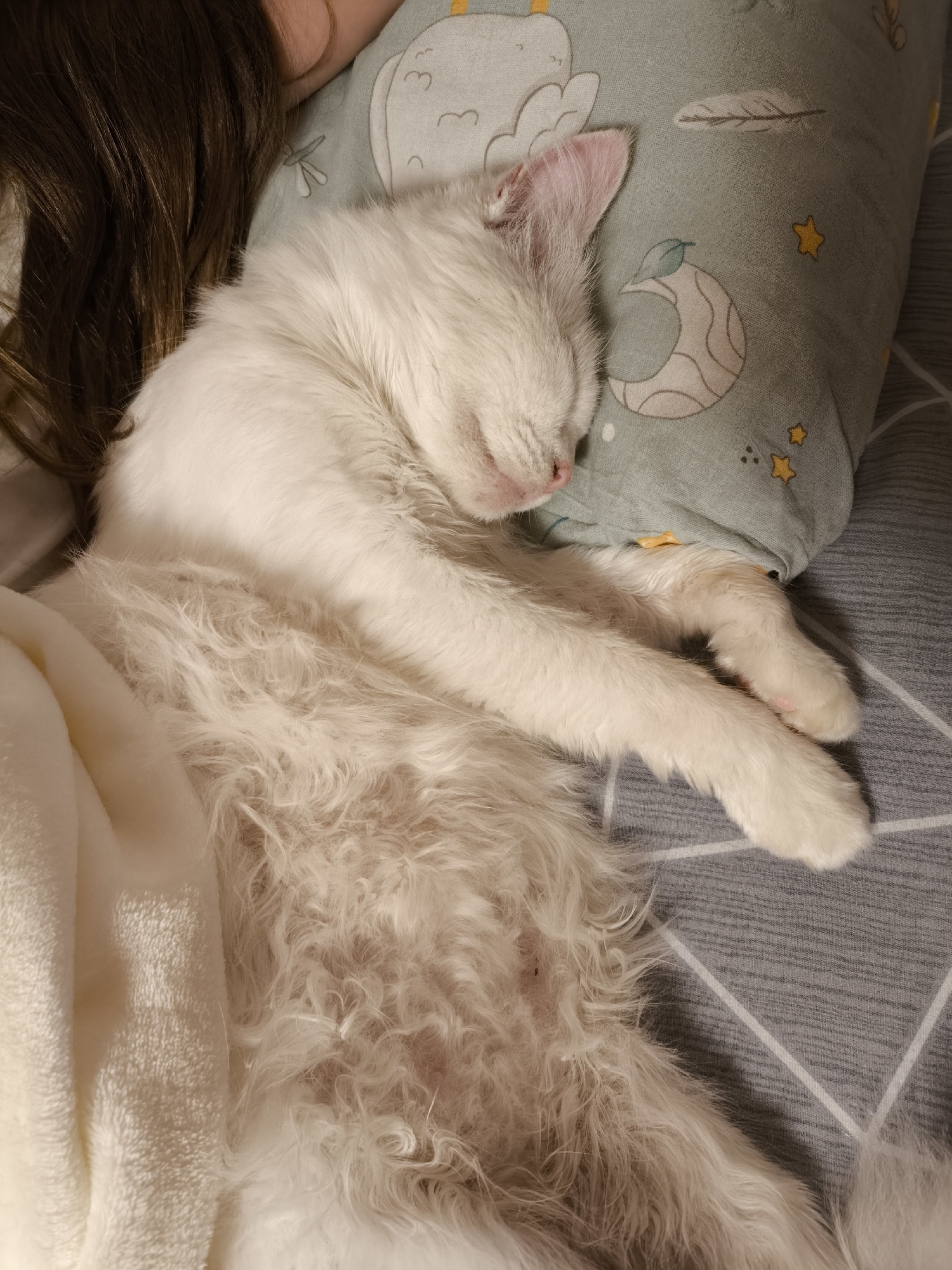 A white cat is sleeping on a bed next to a person's head. The cat is curled up and appears to be comfortable. The bed is covered with a patterned grey sheet and a white blanket. The pillow the cat is resting its head on has a light green fabric with moon and star patterns. The person's dark brown hair is visible on the left side of the image, suggesting they are also resting or sleeping. The scene is indoors, likely in a bedroom, and appears to be a peaceful moment. There is no visible indication of the location being in Yessentuki, Russia.