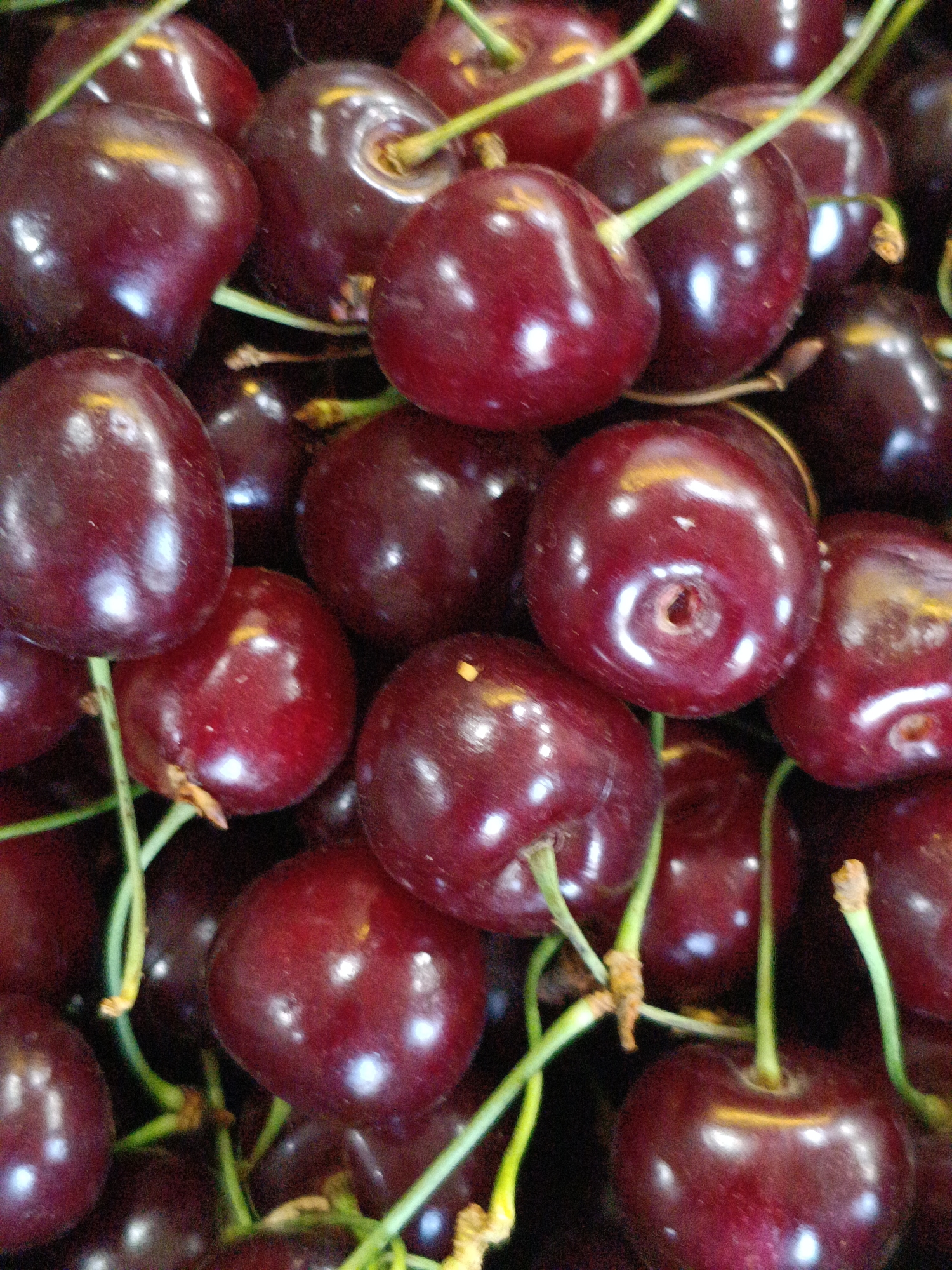 This is a close-up, top-down shot of a pile of ripe, dark red cherries with visible stems. The lighting is bright, creating highlights on the glossy surface of the fruit. The cherries are plump and appear fresh, with some showing slight variations in color. The background is dark and out of focus, emphasizing the cherries. There is no indication of a specific location in Martuni, Armenia, or any people, actions, or interactions. The image exclusively features the cherries.