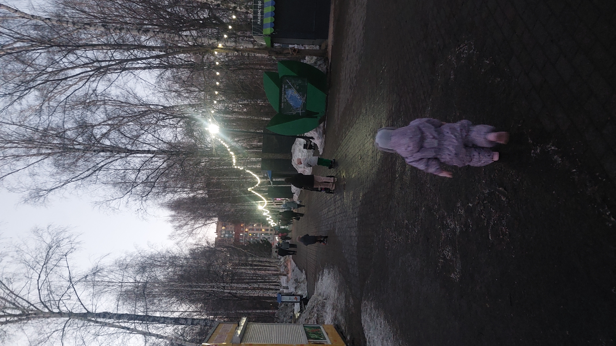 The image shows an outdoor scene, potentially in a park or pedestrian area in Novosibirsk, Russia. The time is likely late afternoon or early evening, given the dim lighting conditions. The ground is paved and appears damp, possibly due to melting snow or recent precipitation. Patches of snow remain alongside the path, bordering the sidewalk.
Along the left side of the image are bare trees, common for a late autumn or early winter season. A string of lights hangs between the trees, stretching into the distance, indicating a public area. Buildings are visible in the background. People are walking in the distance.
Close to the right side of the frame, there is a child or small individual lying on the ground. They appear to be wearing a light-colored, puffy outfit.
There is also a green decorative art piece that is leaf-shaped.