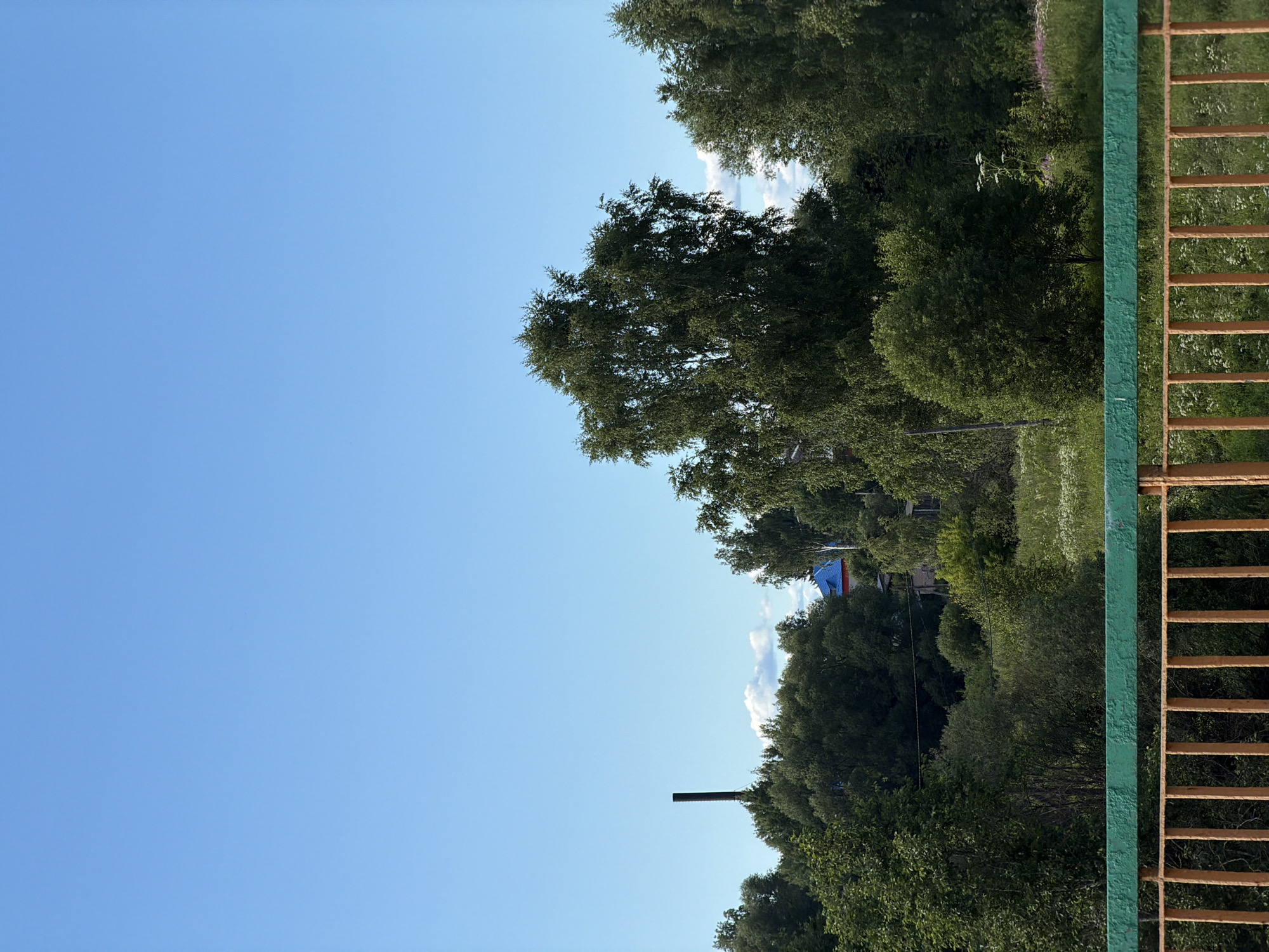 An outdoor, eye-level, medium shot captures a clear, bright blue sky dominating the upper portion of the frame. Below, a dense line of lush green trees forms a natural barrier across the middle ground. To the left, a tall, dark industrial chimney pierces the sky. Nestled amongst the foliage, a house with a vibrant blue roof is partially visible. The foreground is occupied by a rustic railing, painted with an orange-yellow base and a thick, textured green top rail. Vertical orange-yellow bars spaced evenly support the top rail, suggesting a bridge or elevated walkway. The landscape beyond the trees appears wild and uncultivated, with patches of tall grass and wildflowers. The overall scene depicts a rural or semi-rural setting.