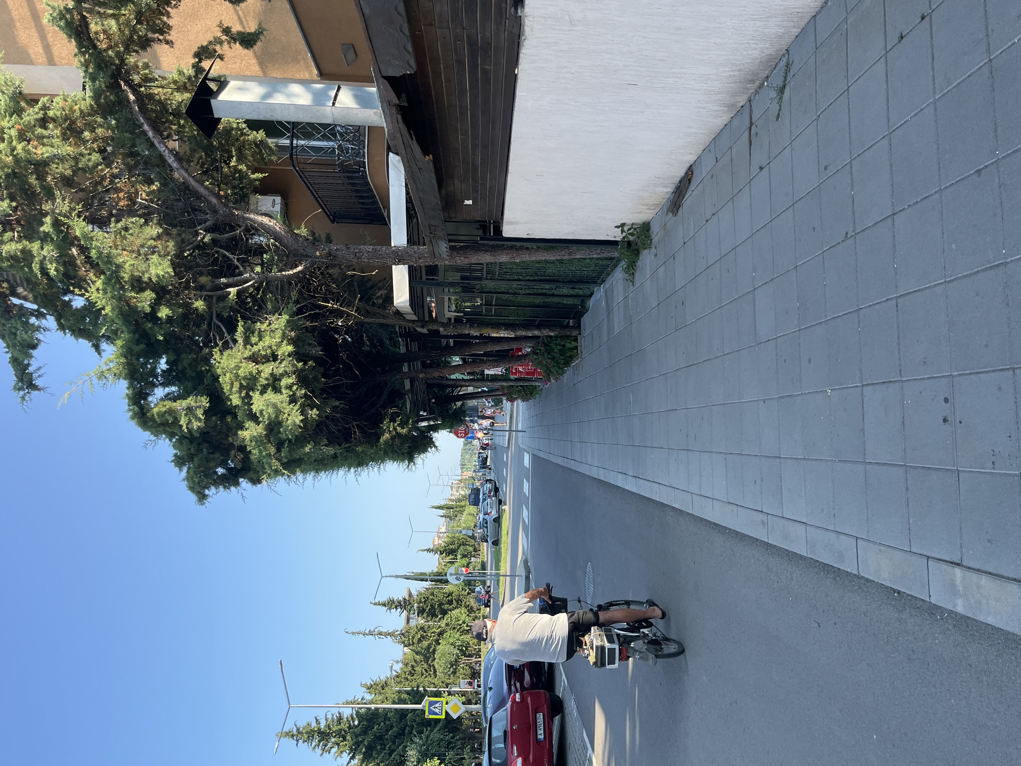 In Nesebar, Bulgaria, on a sunny day, a man wearing a grey t-shirt and black shorts rides an electric bicycle down a paved street lined with trees. He has a black baseball cap on and is wearing flip-flops. A black basket is attached to the rear of his bicycle. On the left side of the street, several cars are parked, including a red car with a license plate reading "A 4965 PH" and a dark-colored vehicle. Across the street, pedestrians are walking on a sidewalk next to buildings with balconies and awnings. A white wall marks the side of one of the buildings, with dark wooden panels above it. Streetlights are visible along the road, and trees with green foliage arch over the sidewalk. The sky is clear and blue.