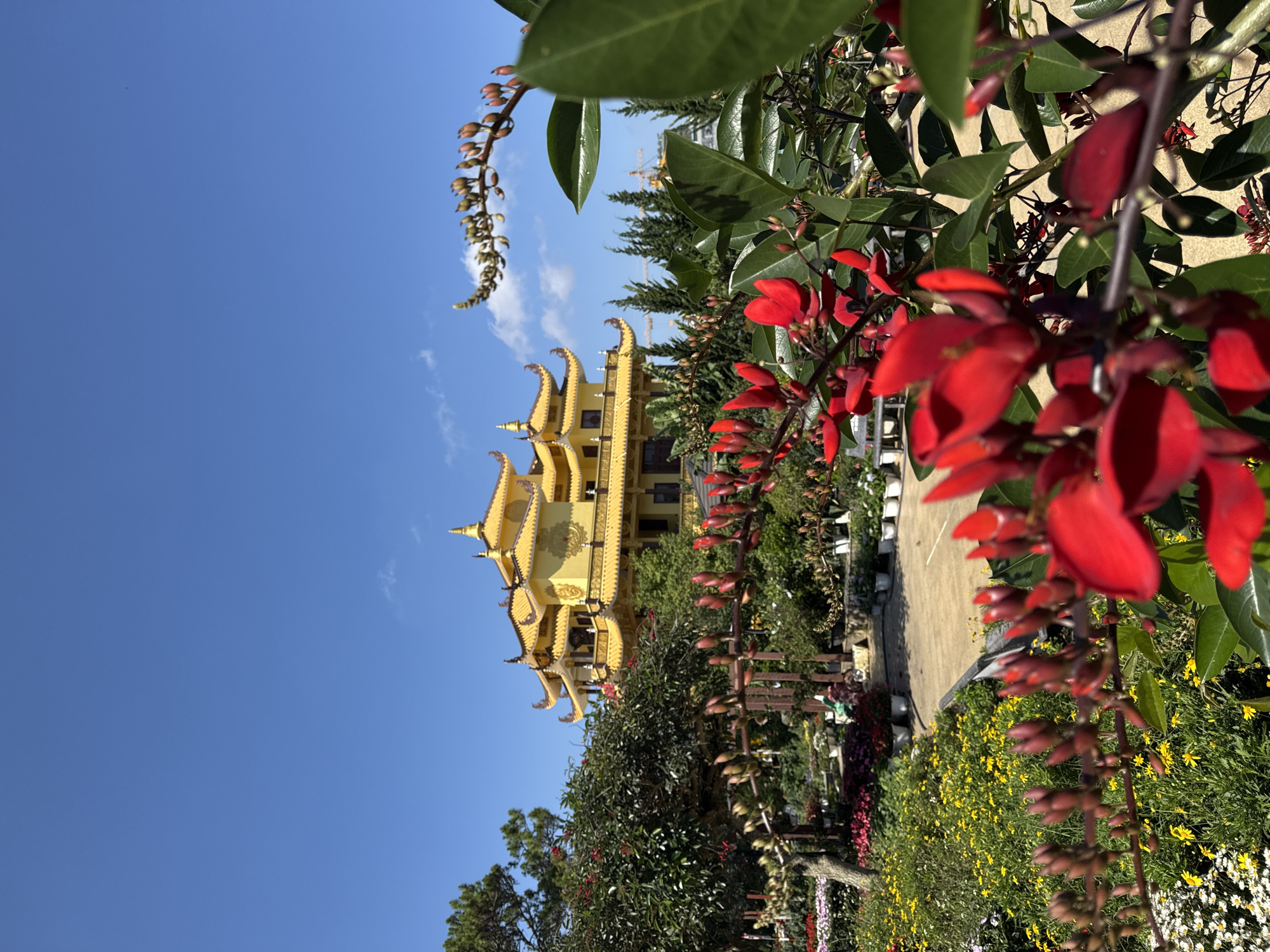 The image captures a view of the Truc Lam Zen Monastery in Da Lat, Vietnam, taken from a ground-level perspective. The monastery, a multi-tiered golden structure with curved, ornate roofs, is partially obscured by foliage. The foreground is dominated by vibrant vegetation, including red flowers and green leafy plants. In the middle ground, a mix of greenery and yellow flowers suggests a garden setting. The sky above is a clear blue with a few clouds visible. The overall scene depicts a blend of architectural grandeur and natural beauty.