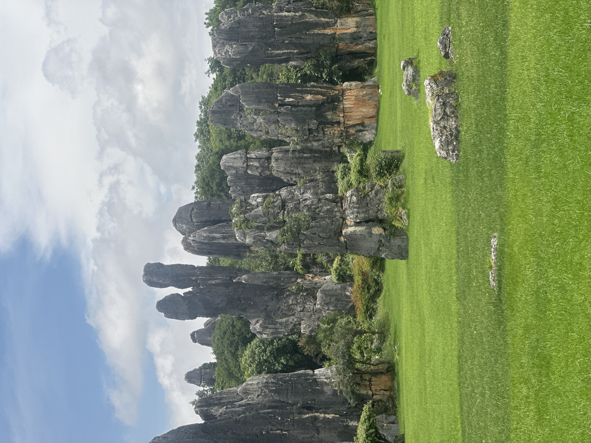 The image depicts the Stone Forest National Geopark in Kunming, China. The scene is dominated by numerous tall, grey, pillar-like karst formations, characteristic of limestone erosion. These formations vary in height and shape, with some appearing slender and pointed, while others are more robust and stacked. They are interspersed with lush green trees and vegetation at their bases, and a backdrop of denser foliage and trees extends across the horizon. The foreground features a vast expanse of vibrant green grass, neatly manicured and appearing as a well-kept lawn. Scattered across this lawn are a few medium-sized rocks, also grey and weathered, adding to the natural landscape. The sky above is a mix of blue patches and fluffy white clouds, suggesting a partly cloudy day. No people or animals are visible in the frame. The overall impression is of a dramatic and unique natural landscape, likely a tourist attraction.