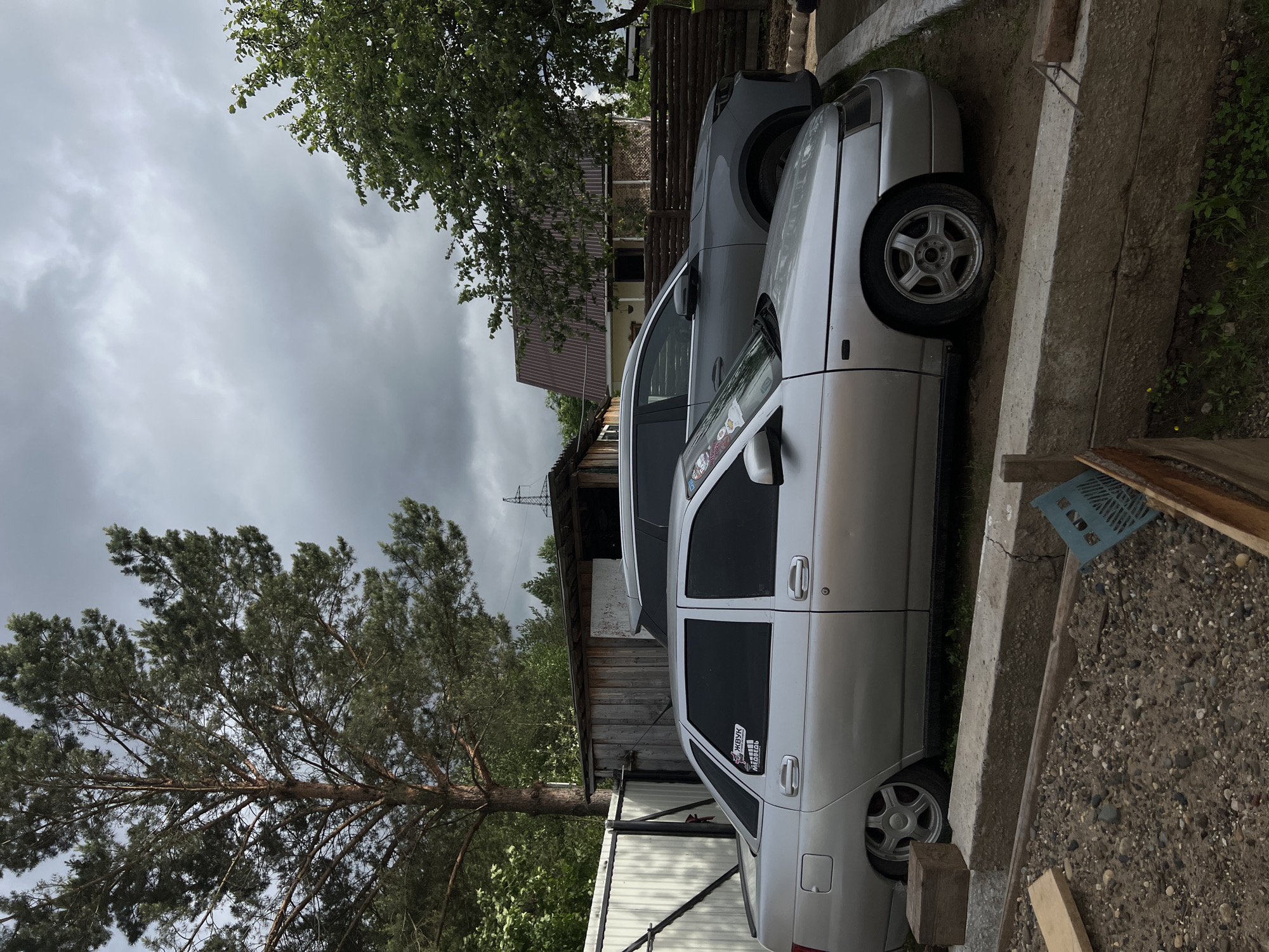 The image captures an outdoor scene, likely a residential yard in Chaikovsky, Russia, under an overcast sky. Two cars are parked in what appears to be a driveway or unpaved area. The prominent vehicle in the foreground is a silver sedan, possibly a Lada, featuring custom multi-spoke alloy wheels and darkened rear passenger windows. On its rear passenger window, several stickers are visible, including one with Cyrillic text "ЖВУК" (ZVUK, meaning 'sound') and a cartoon graphic resembling Hello Kitty. Behind this sedan, a darker grey SUV or crossover is partially visible.
To the left, a large pine tree with extensive branches dominates the sky, while a smaller deciduous tree with green leaves is present towards the top right. In the background, a wooden house with a dark, possibly corrugated, roof is seen, alongside part of another building with a lighter facade. The ground is a mix of dirt and gravel, with sparse green vegetation. Concrete curbs or low walls run along the right side of the image, and a wooden fence separates different parts of the property. A blue plastic crate and wooden planks are visible on the ground near the concrete. The sky is heavily clouded and grey, indicating an overcast day. No human activity or specific event is taking place; the scene appears static and mundane.