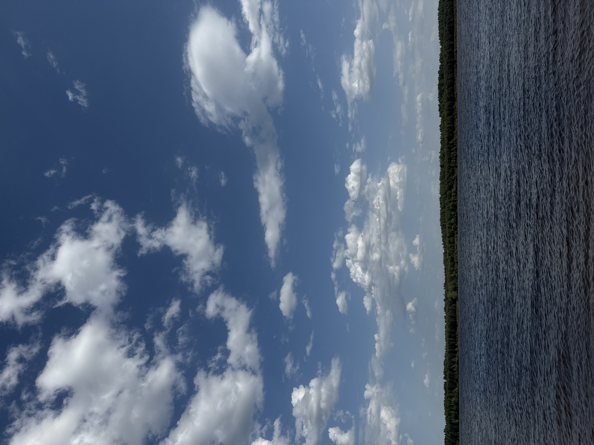 A landscape shot shows a body of water occupying the right half of the frame, its surface rippled by wind. The left half is dominated by a blue sky with scattered white clouds. A dense line of green trees separates the water from the sky. The image is taken in a location that is possibly Doksha, Russia. No people or specific objects beyond the natural elements are visible.