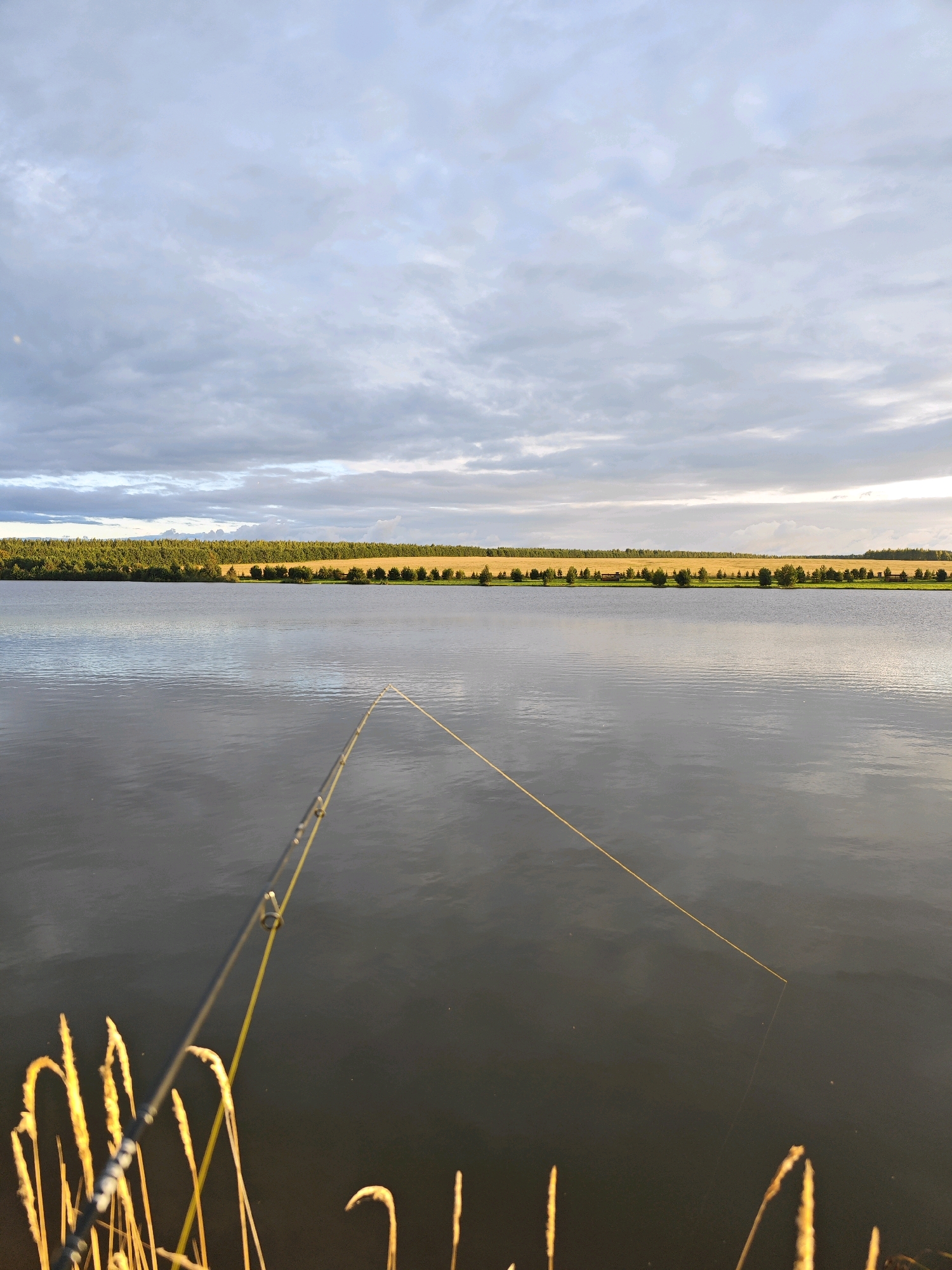 The image depicts a tranquil natural scene, likely a lake or pond, with a fishing rod extending into the water. The foreground features dry reeds or tall grass, silhouetted by the warm, golden light of either sunrise or sunset. The fishing rod, a dark grey with yellow line, is positioned in the lower left quadrant of the image, its line stretching diagonally across the calm, reflective water.
In the middle ground, the expansive body of water stretches towards the horizon, its surface rippled by a gentle breeze. The horizon is marked by a band of lush green trees, transitioning into a field of golden crops, possibly wheat or barley, suggesting an agricultural landscape. Above this, a dramatic sky filled with a mix of dark grey and lighter, white clouds is visible. The lighting suggests either early morning or late evening.
This scene is situated in or near the village of Tatarskii Yantyk, Russia. The combination of the placid water, the fishing rod, and the surrounding agricultural and natural elements evokes a sense of peaceful solitude and rural life. No people are visible in the frame, and the action is static, focused on the act of fishing or the contemplation of nature.