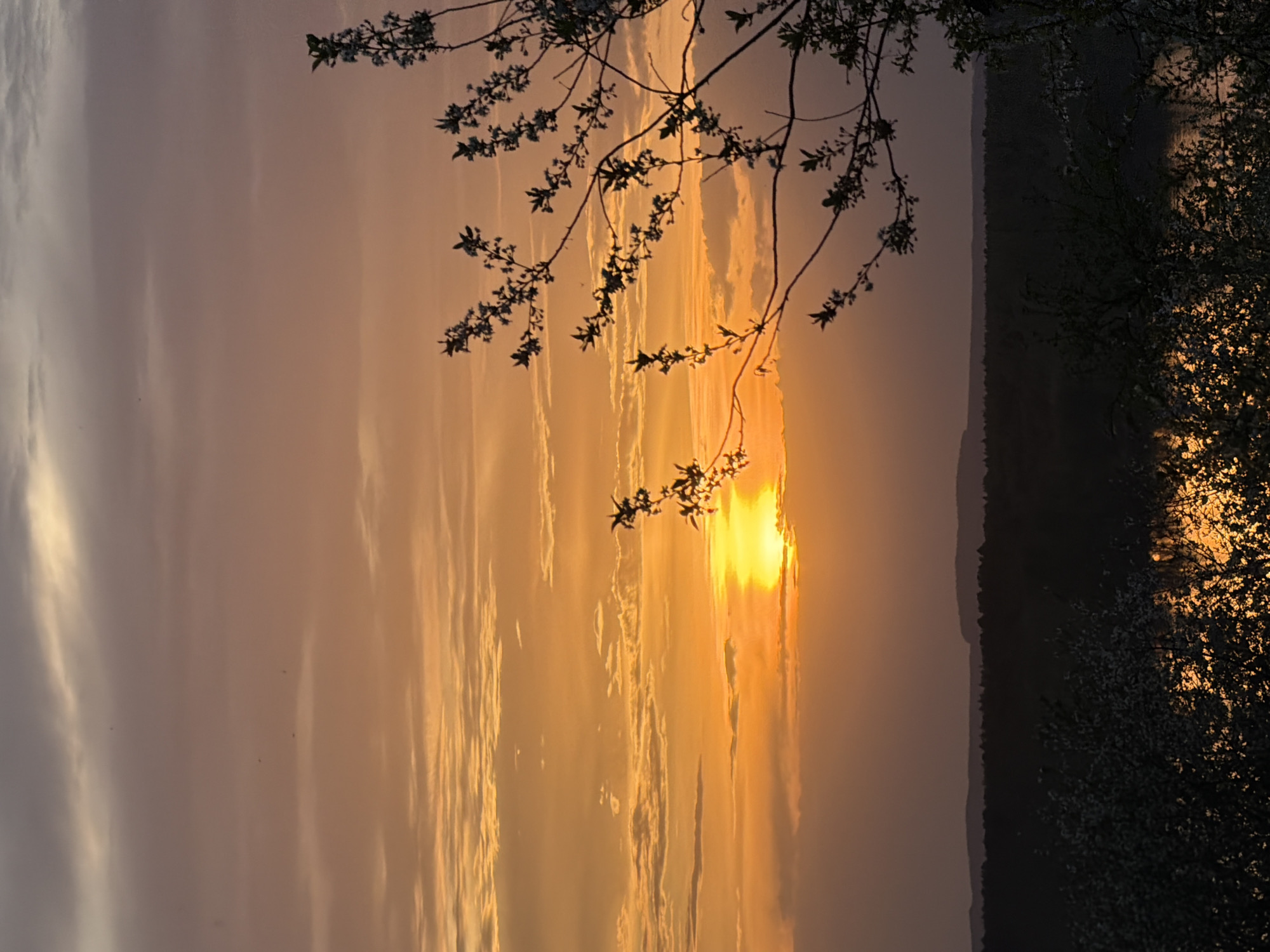 The image shows a sunset scene, likely in the city of Chaikovsky, Russia, given the prompt's context. The sun is setting over a body of water (possibly the Kama River), creating a warm golden glow on the sky and reflecting on the water. Silhouetted trees and branches frame the image in the foreground. The sky is filled with layered clouds of orange, yellow, and grey hues. A dark, forested shoreline is visible on the right side of the frame.