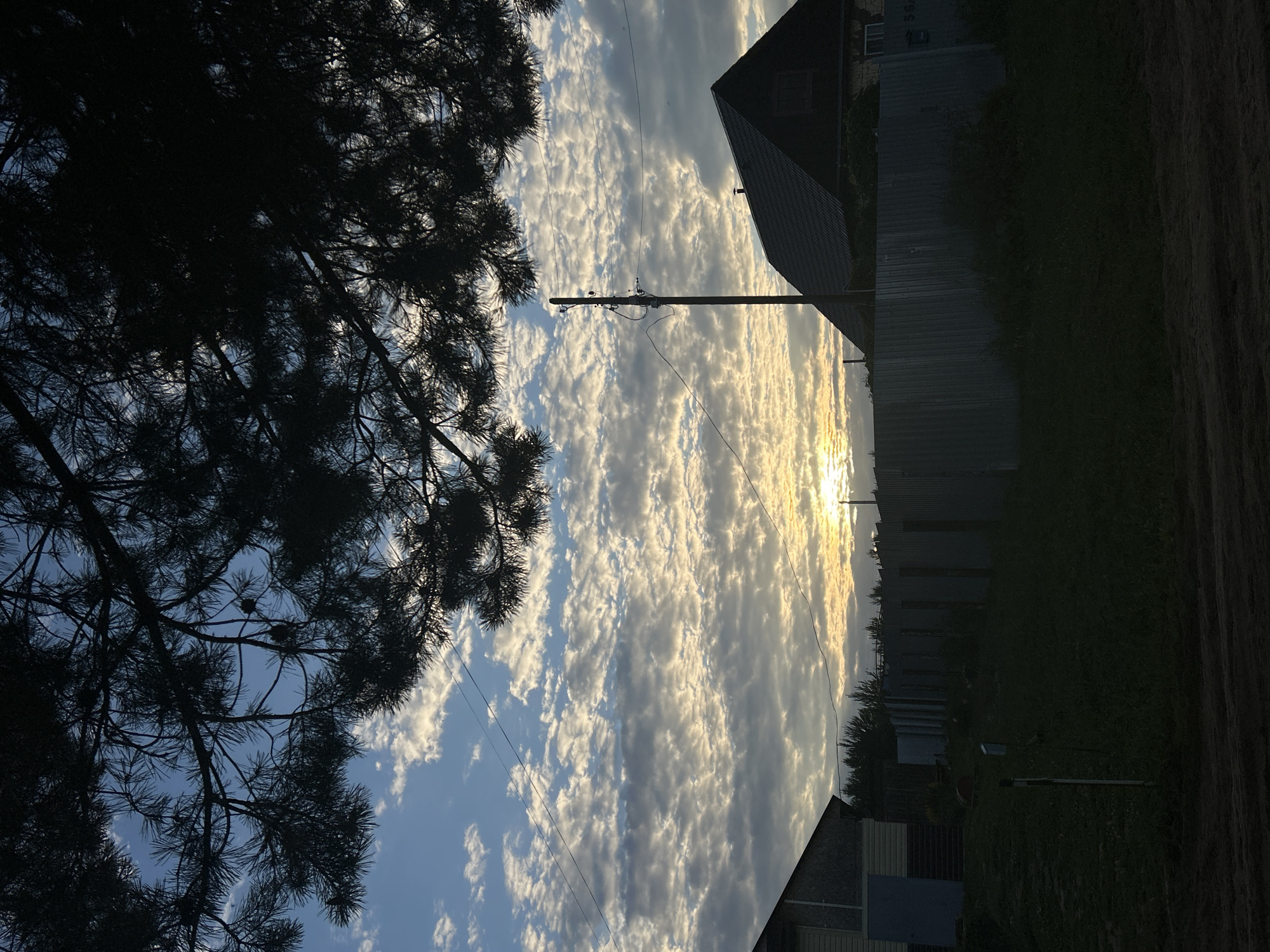 The image depicts a rural scene at dusk in the city of Fokino, Russia. In the foreground, a dark, silhouetted pine tree branch extends across the top of the frame. Below, the sky is filled with a dense layer of cumulus clouds, illuminated by the setting sun which is visible as a bright glow near the horizon. Two houses are visible; on the left, a structure with light-colored siding and a darker roof, and on the right, a darker, more traditional house with a steeply pitched roof. A metal fence runs between the houses and across the mid-ground of the image. A utility pole stands on the right side of the frame, with wires extending from it. The ground in the foreground is dark and appears to be unpaved. The overall impression is a quiet, rural evening.