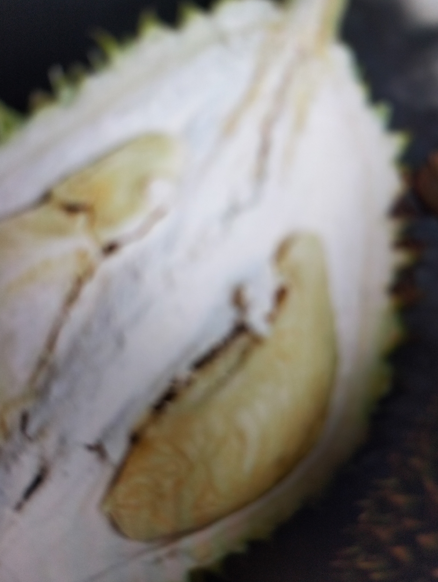 The image is a close-up, blurry shot of a durian fruit that has been cut in half, revealing its creamy, pale yellow flesh and the texture of its spikes along the edge. The fruit is presented in what appears to be a domestic setting, possibly in Payagaboh, Indonesia, given the typical availability of durian in that region. There are no people or specific actions depicted, only the fruit itself. The lighting is somewhat dim, with the focus soft, contributing to the overall abstract quality of the image.