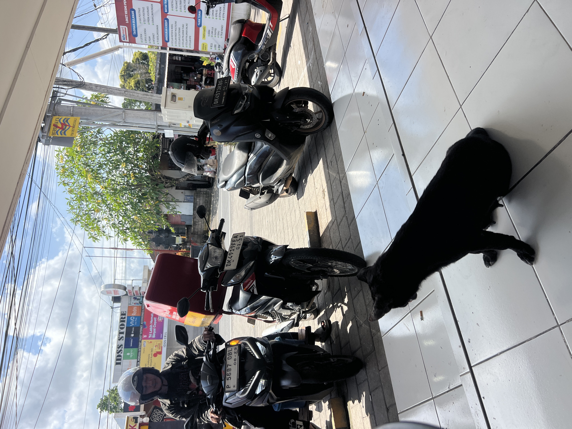 Here is a concise description of the scene:
The image shows a partially sunlit street scene in Mengwi, Indonesia, adjacent to an Alfamart convenience store. Several parked motorcycles are visible along the tiled sidewalk, each displaying license plates, including P 5687 OBL, DK4919FEA, and DK4573KBF. A black dog is positioned on the tiled ground. Signage for "IDSS STORE" and a "BERBAHAYA" sign (indicating danger) are prominent. A person wearing a helmet is sitting on one of the motorbikes. Overhead power lines crisscross the view.